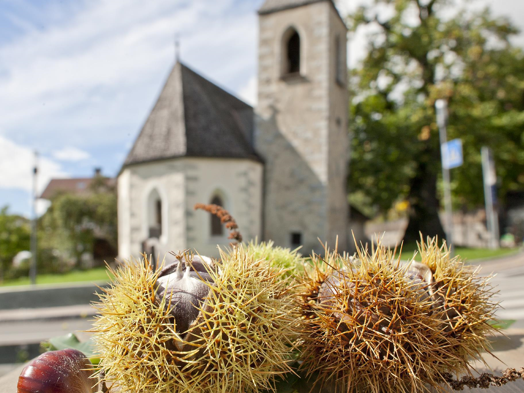 29. Keschtniglwochen: Niglmarkt - Brixen und Umgebung - #2 - suedtirol.info
