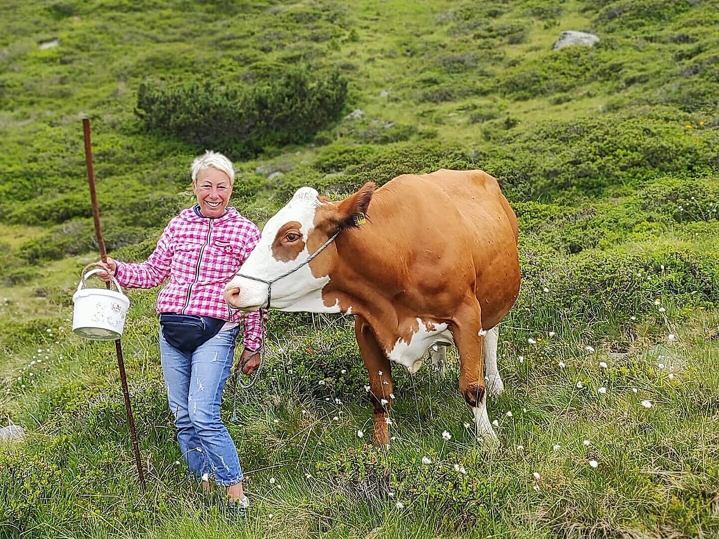 9th "Graukäse"-days in the Ahrntal valley | Guided visit of the Moarhof - Ahrntal/Valle Aurina - #2 - suedtirol.info
