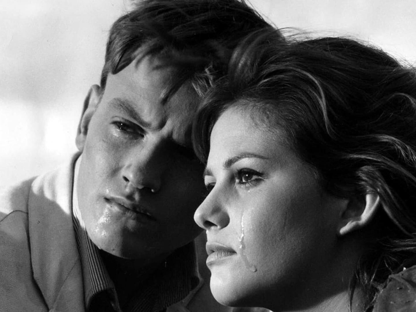 39. BOLZANO FILMFESTIVAL BOZEN – BFFB - Bolzano e dintorni - #1 - suedtirol.info