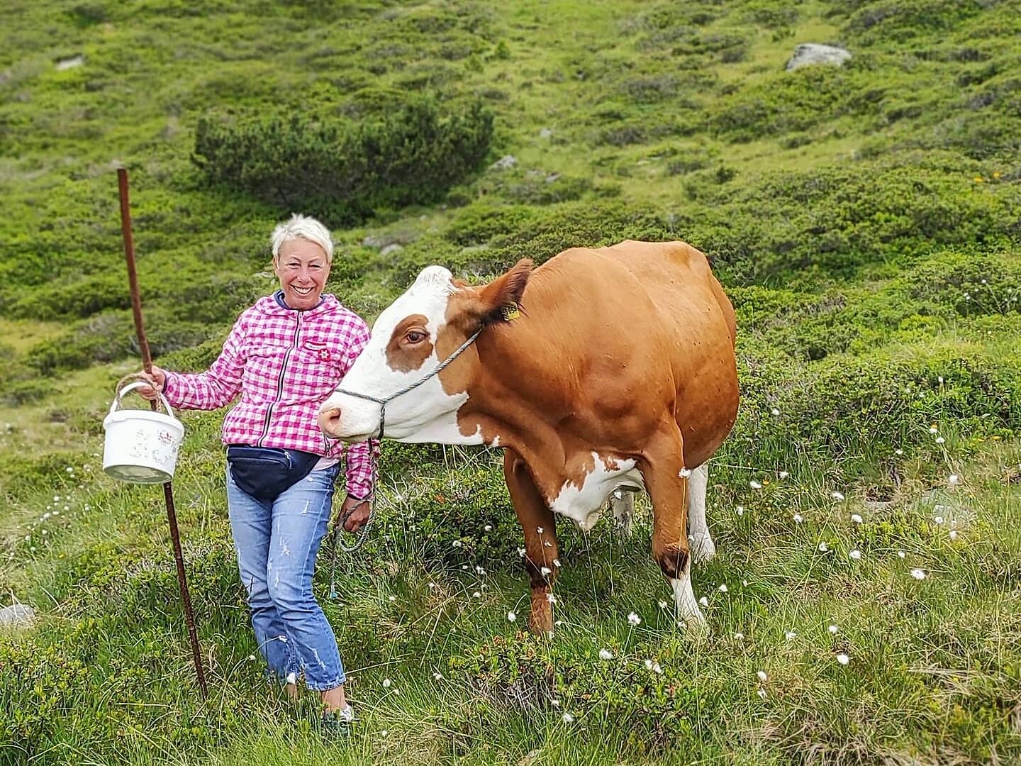 8° Giornate del "Graukäse" in Valle Aurina | Visita guidata al Moarhof - Valle Aurina - #1 - suedtirol.info