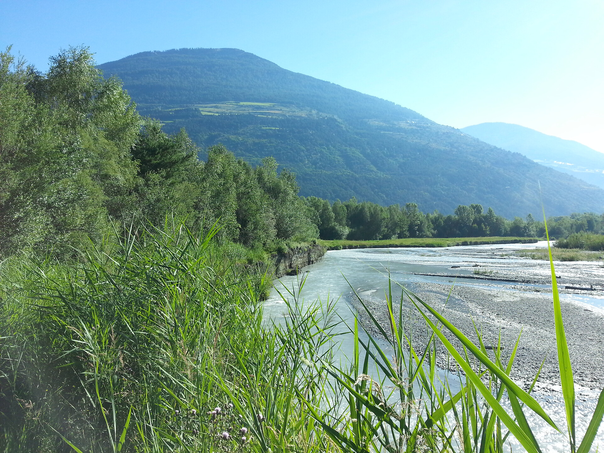 Auf Entdeckungsreise am Flussdelta "Prader Sand" - Vinschgau - #2 - suedtirol.info