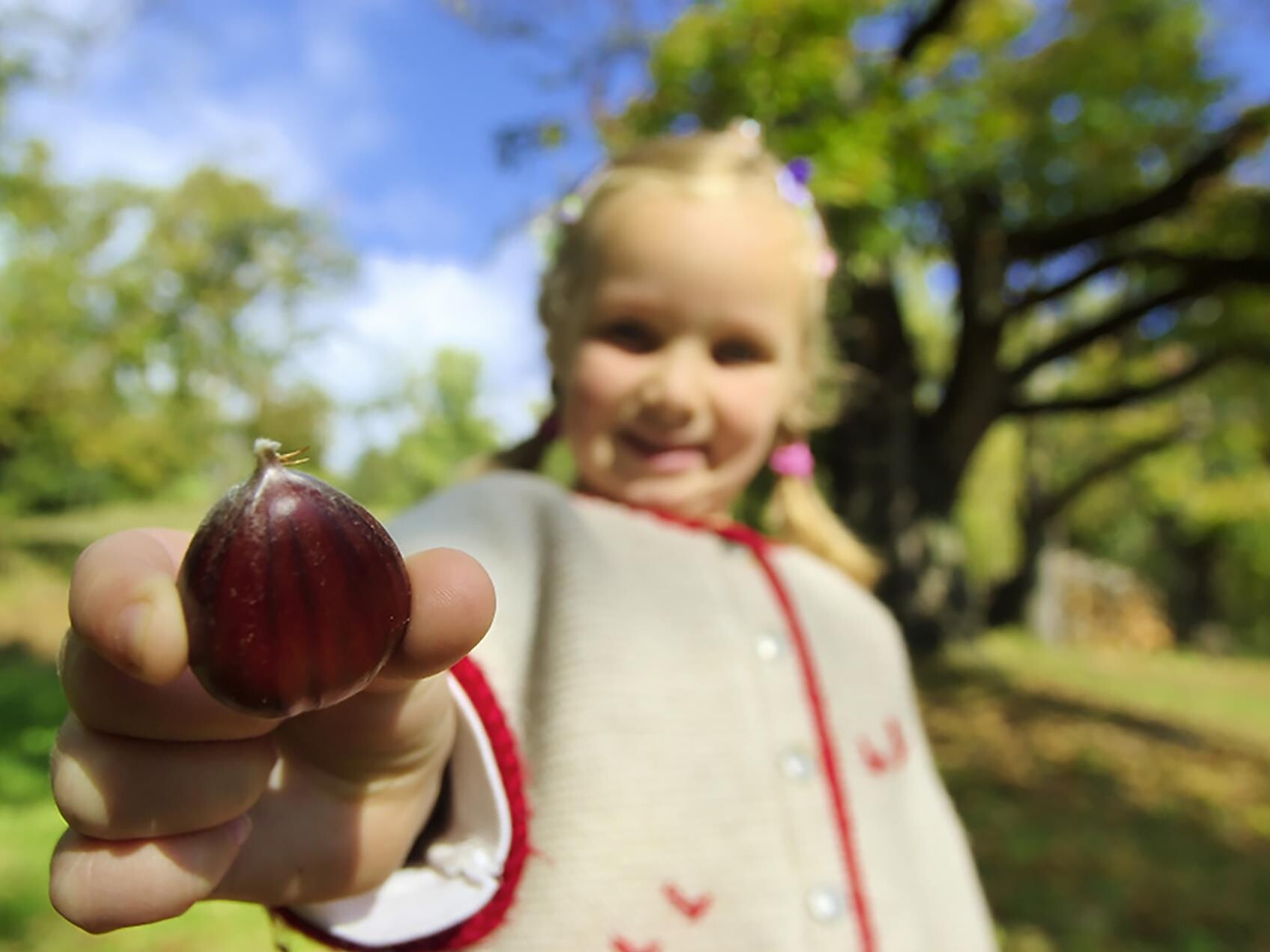 29th Chestnut Weeks: Adventure hike for kids - Brixen/Bressanone and environs - #1 - suedtirol.info