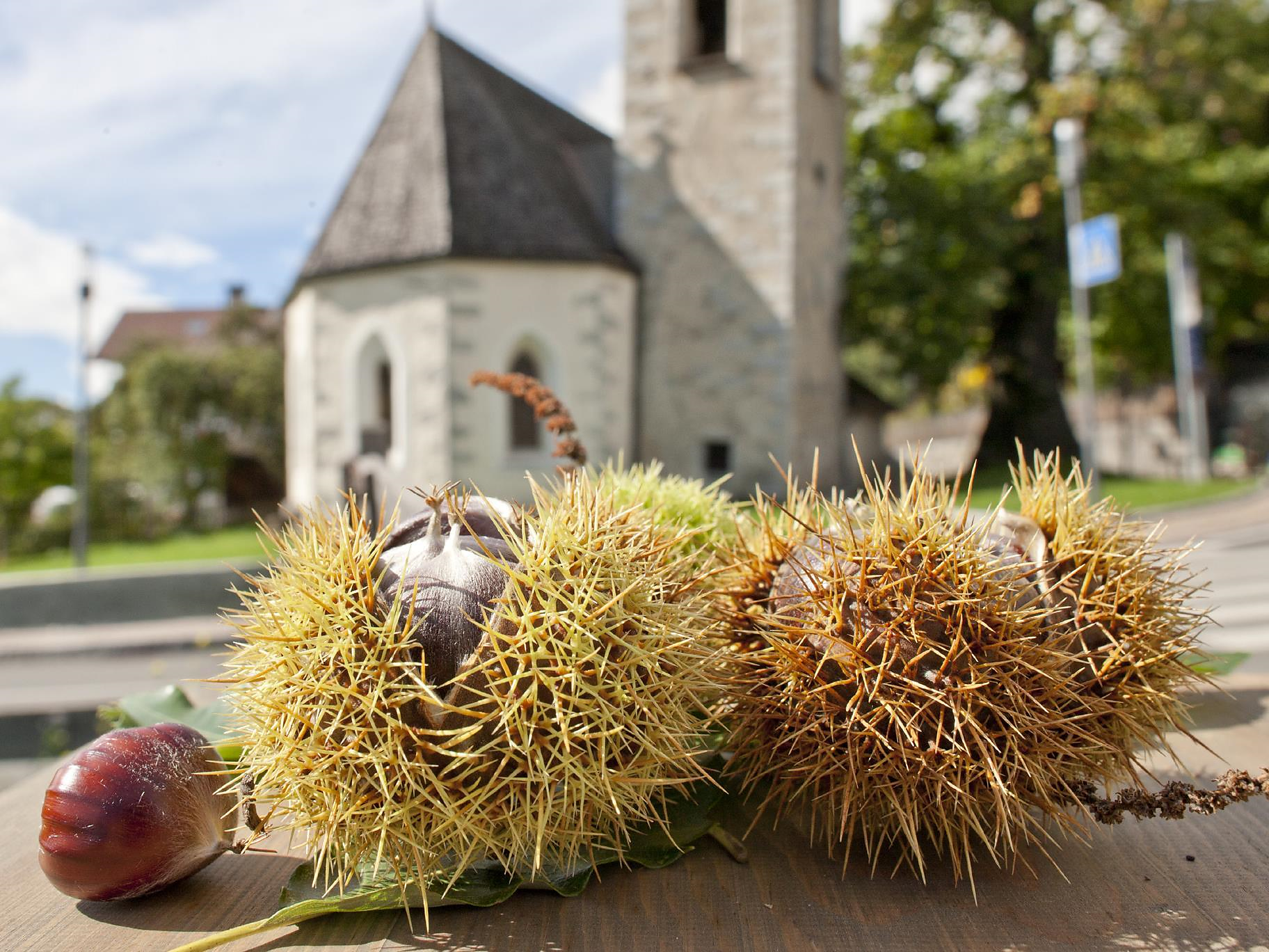 29th Chestnut Weeks in Feldthurns - Brixen/Bressanone and environs - #1 - suedtirol.info
