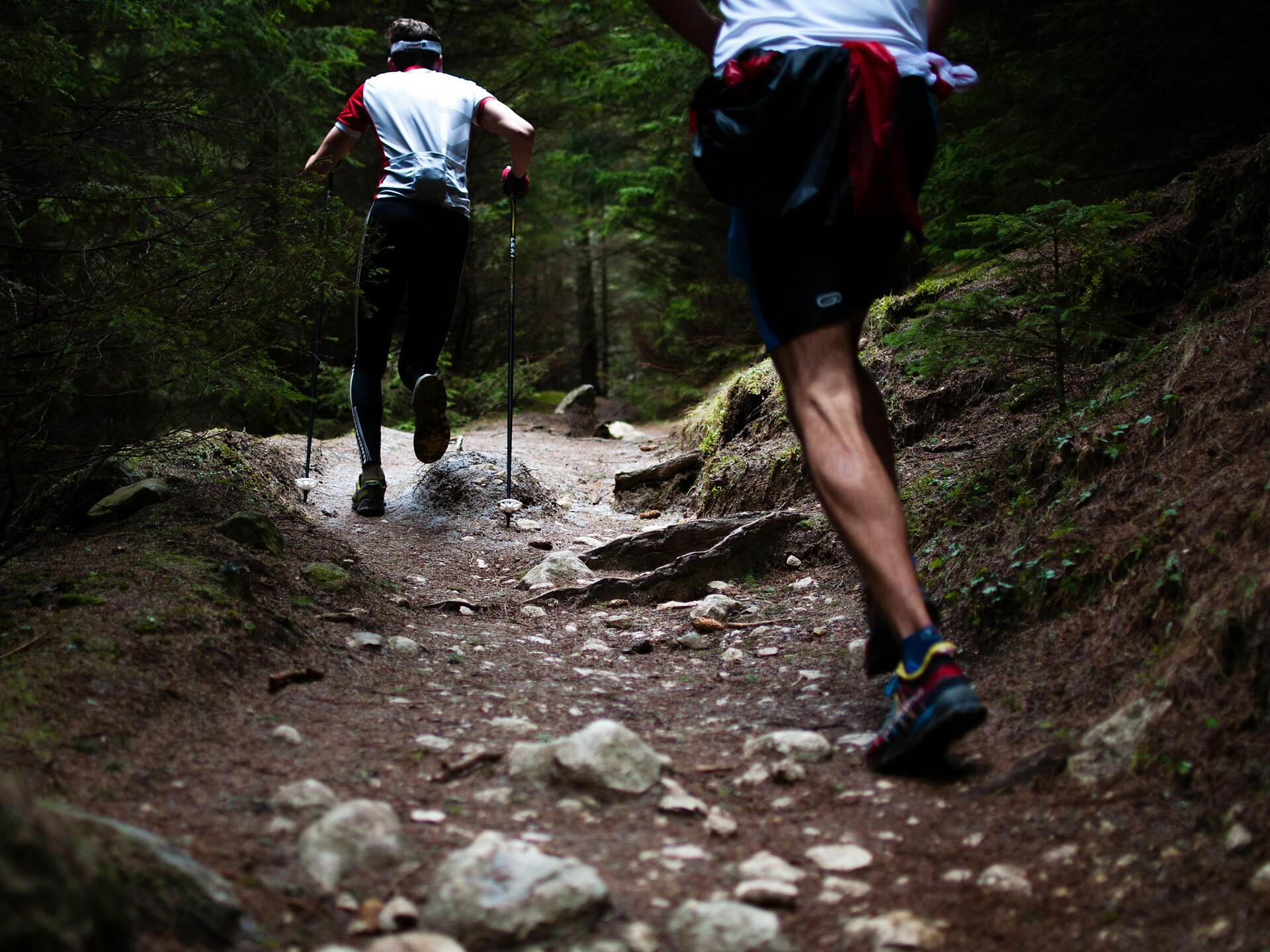 4. Marblsee-Labesebenlauf - Brixen und Umgebung - #1 - suedtirol.info