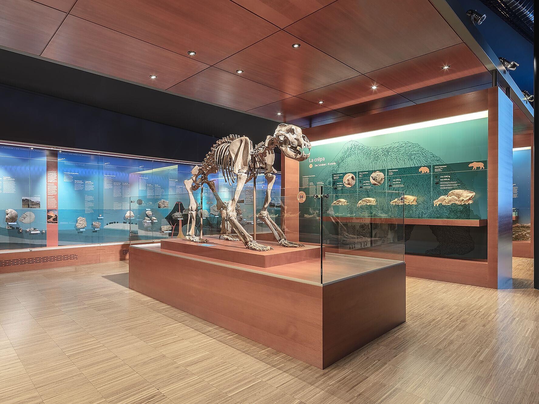 15 years Museum Ladin Ursus Ladinicus - Dolomites Region Alta Badia - #3 - suedtirol.info
