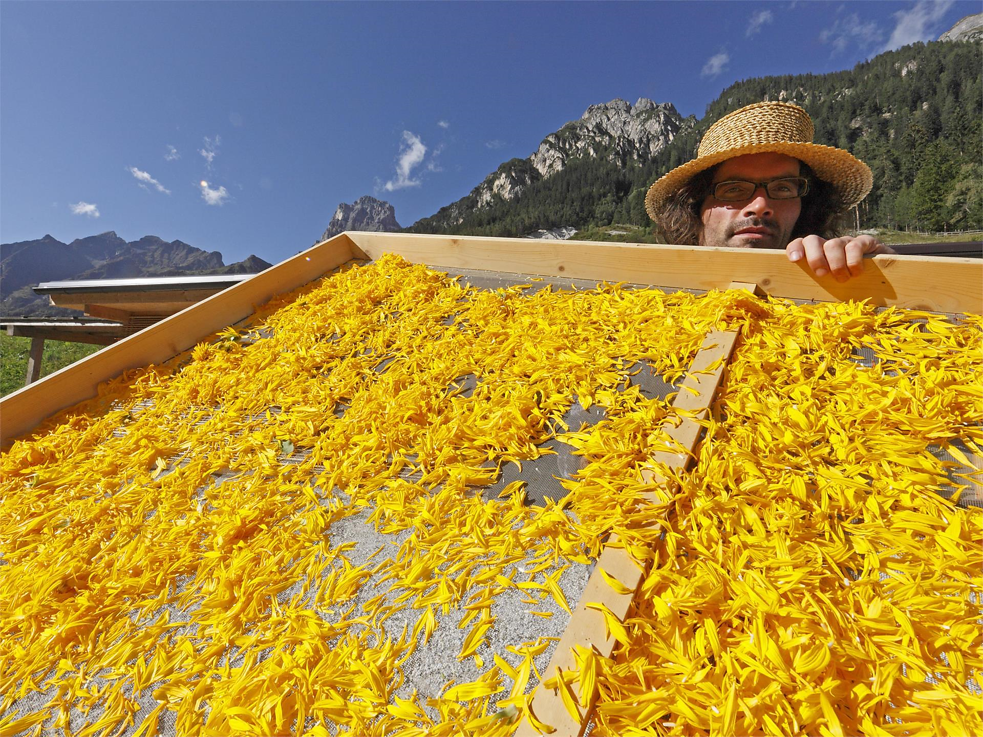 100% Kräutergarten - Sterzing und Umgebung - #2 - suedtirol.info