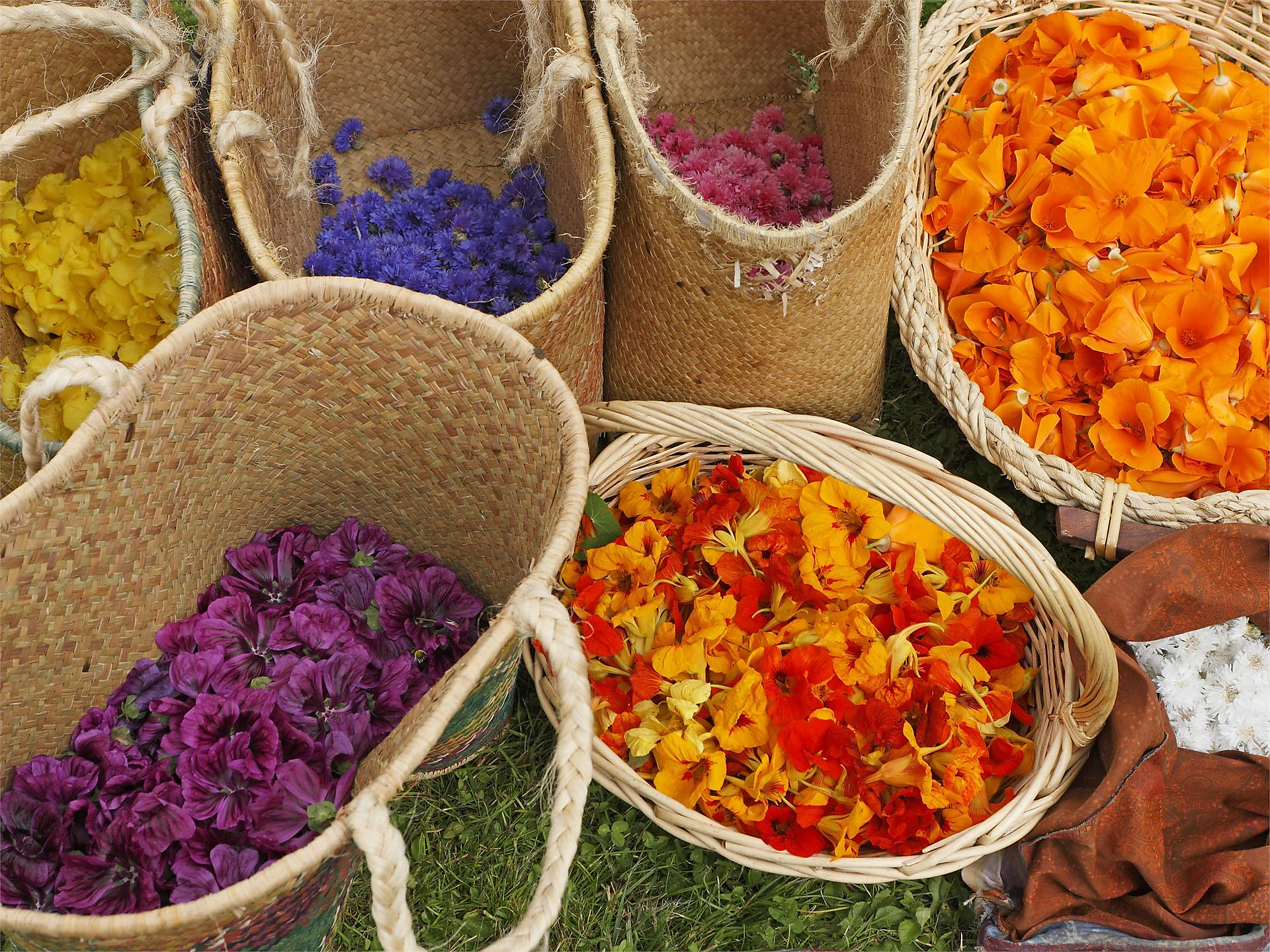 100% Kräutergarten - Sterzing und Umgebung - #1 - suedtirol.info