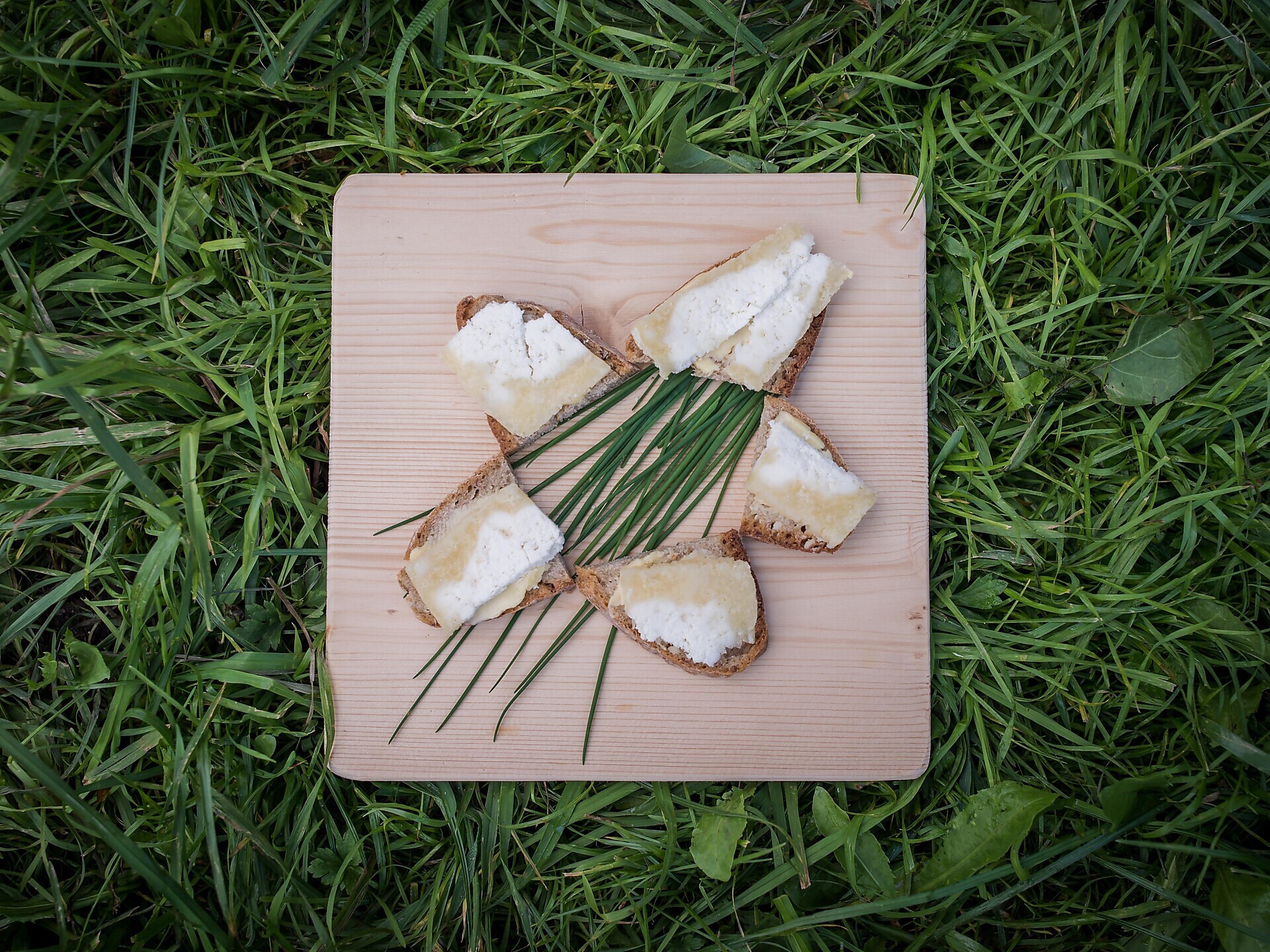 9th "Graukäse"-days in the Ahrntal valley | cheese tasting at Bixner - Ahrntal/Valle Aurina - #2 - suedtirol.info