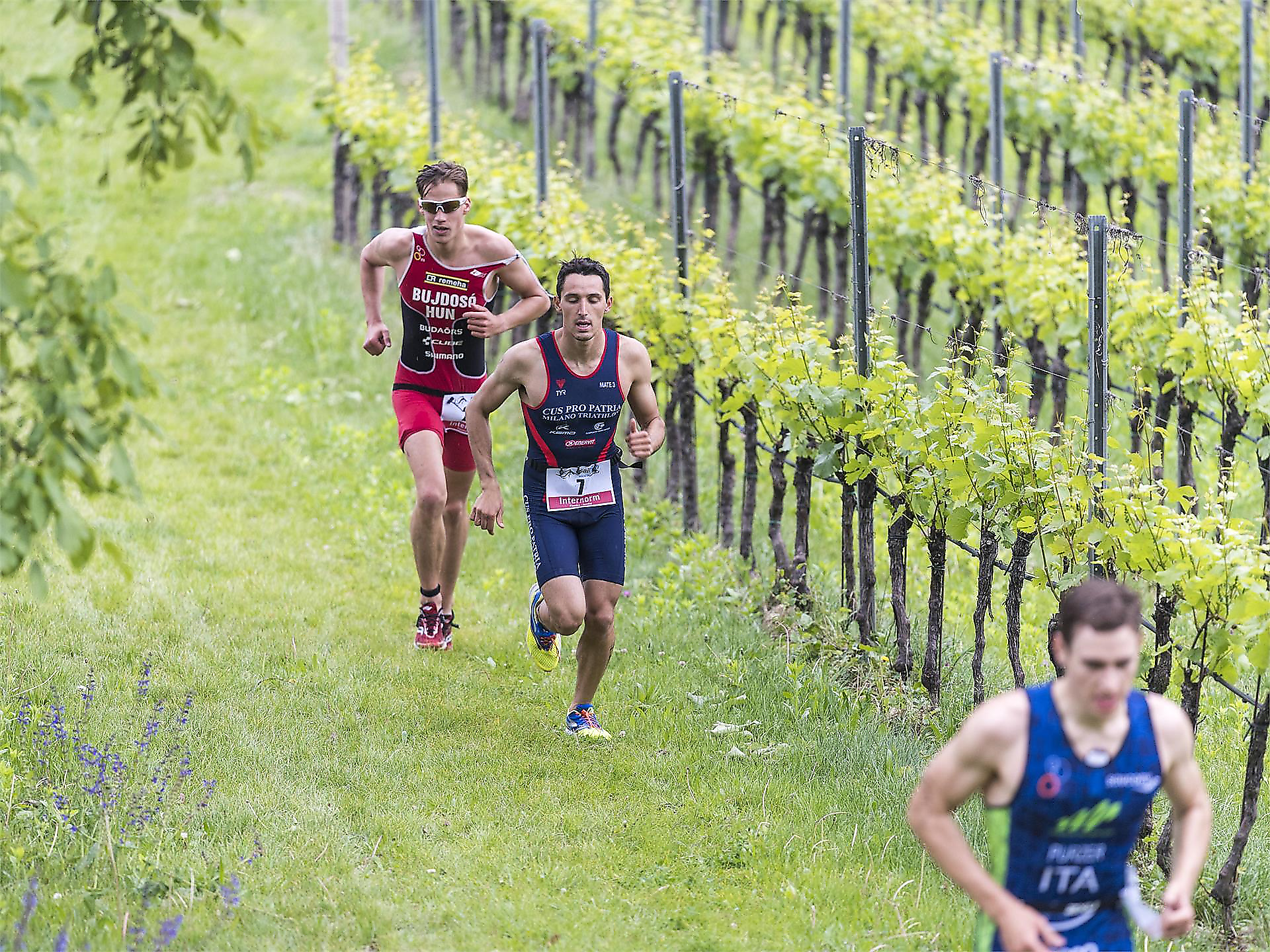 38th edition International Triathlon Lake Kaltern - Alto Adige Wine Road - #2 - suedtirol.info