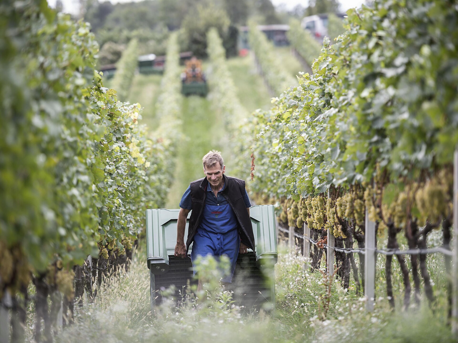 50 anni Bronner & Solaris Appiano sulla Strada del Vino 1 suedtirol.info