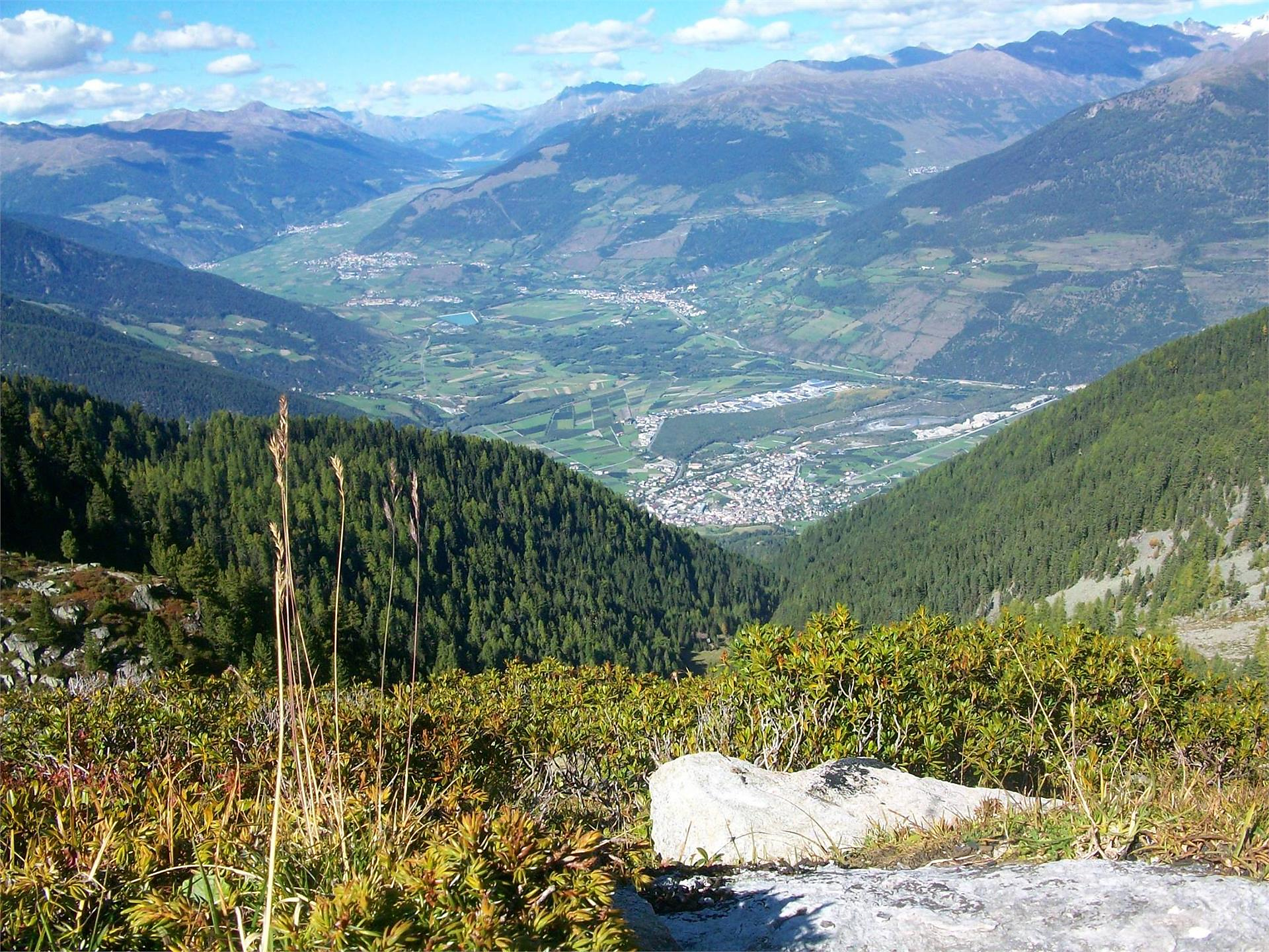 5- Punti panoramici - Escursione guidata nel Parco Nazionale dello Stelvio Prato allo Stelvio 3 suedtirol.info