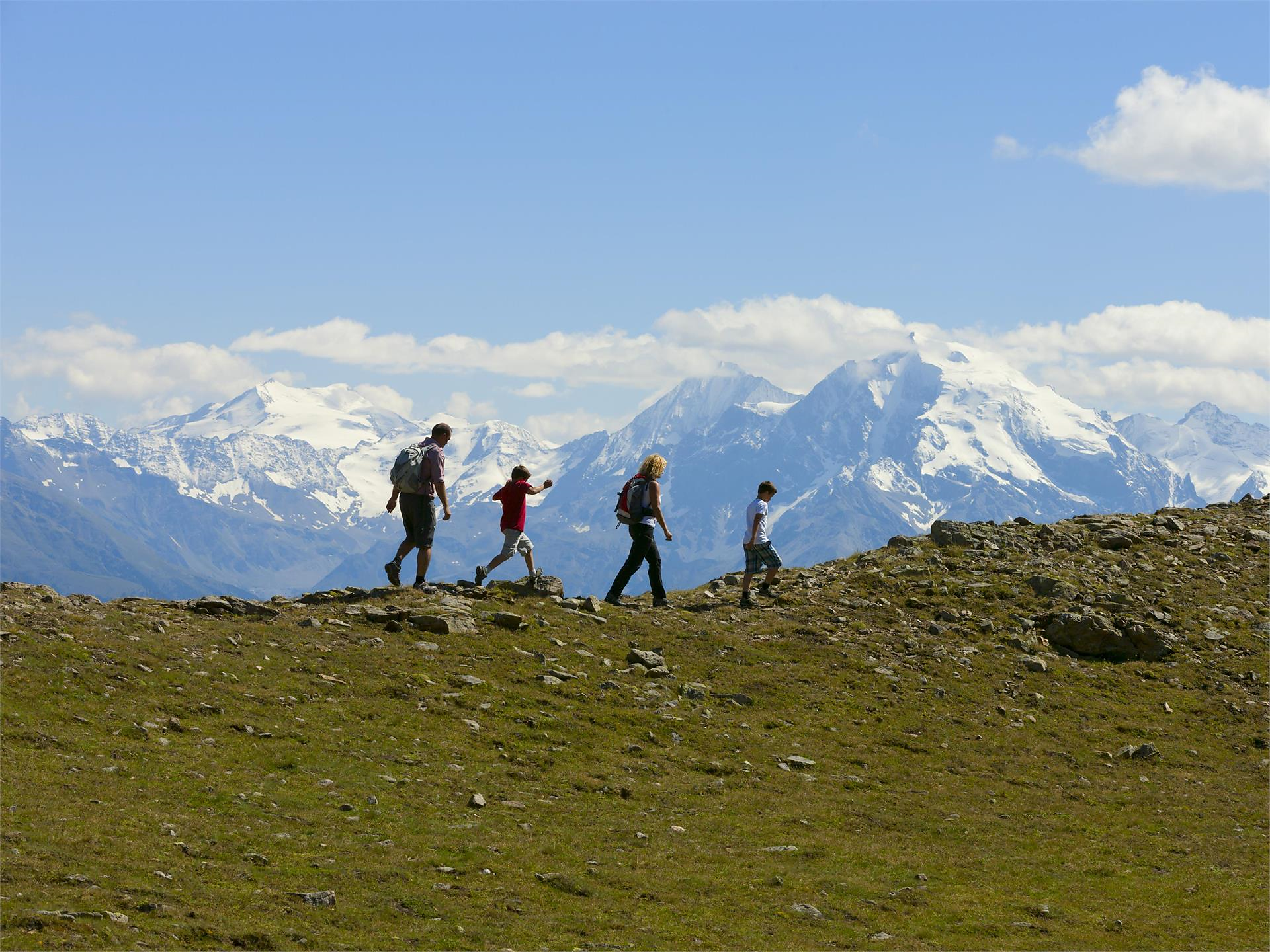 5- Punti panoramici - Escursione guidata nel Parco Nazionale dello Stelvio Prato allo Stelvio 2 suedtirol.info