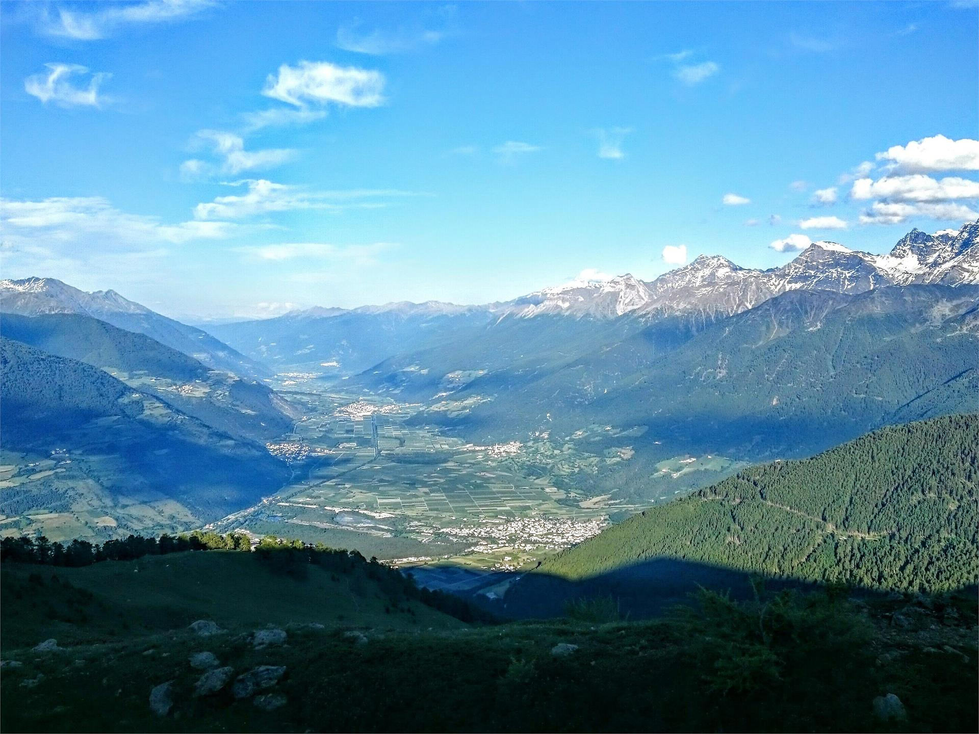 5- Punti panoramici - Escursione guidata nel Parco Nazionale dello Stelvio Prato allo Stelvio 1 suedtirol.info
