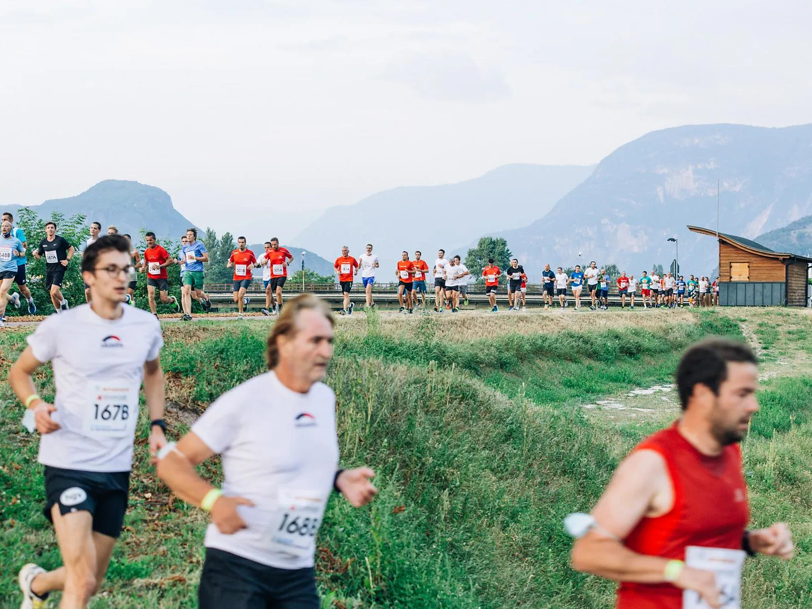 24 ° corsa aziendale Alto Adige "Correre con amici é meglio" - Strada del Vino - #1 - suedtirol.info