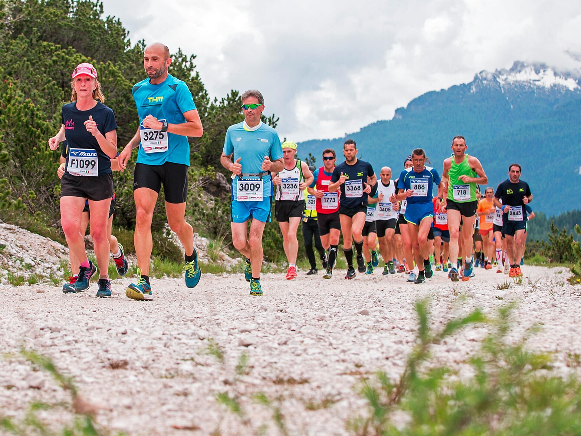 26. Cortina Dobbiaco Run - Dolomitenregion 3 Zinnen - #3 - suedtirol.info