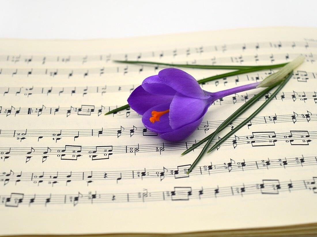 Easter concert of the traditional music band Welschnofen | Nova Levante - Dolomites Region Eggental - #3 - suedtirol.info