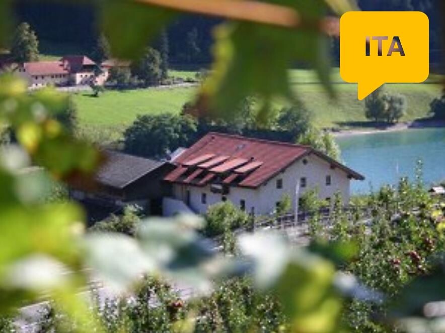 Visita al Vigneto e Maso Bio a Rio di Pusteria - in lingua italiana - Bressanone e dintorni - #1 - suedtirol.info