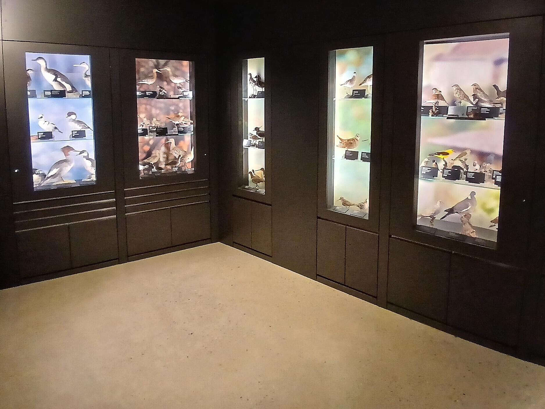 serata ornitologica – preparazione all’ esame di caccia 2026 - Val Venosta - #2 - suedtirol.info