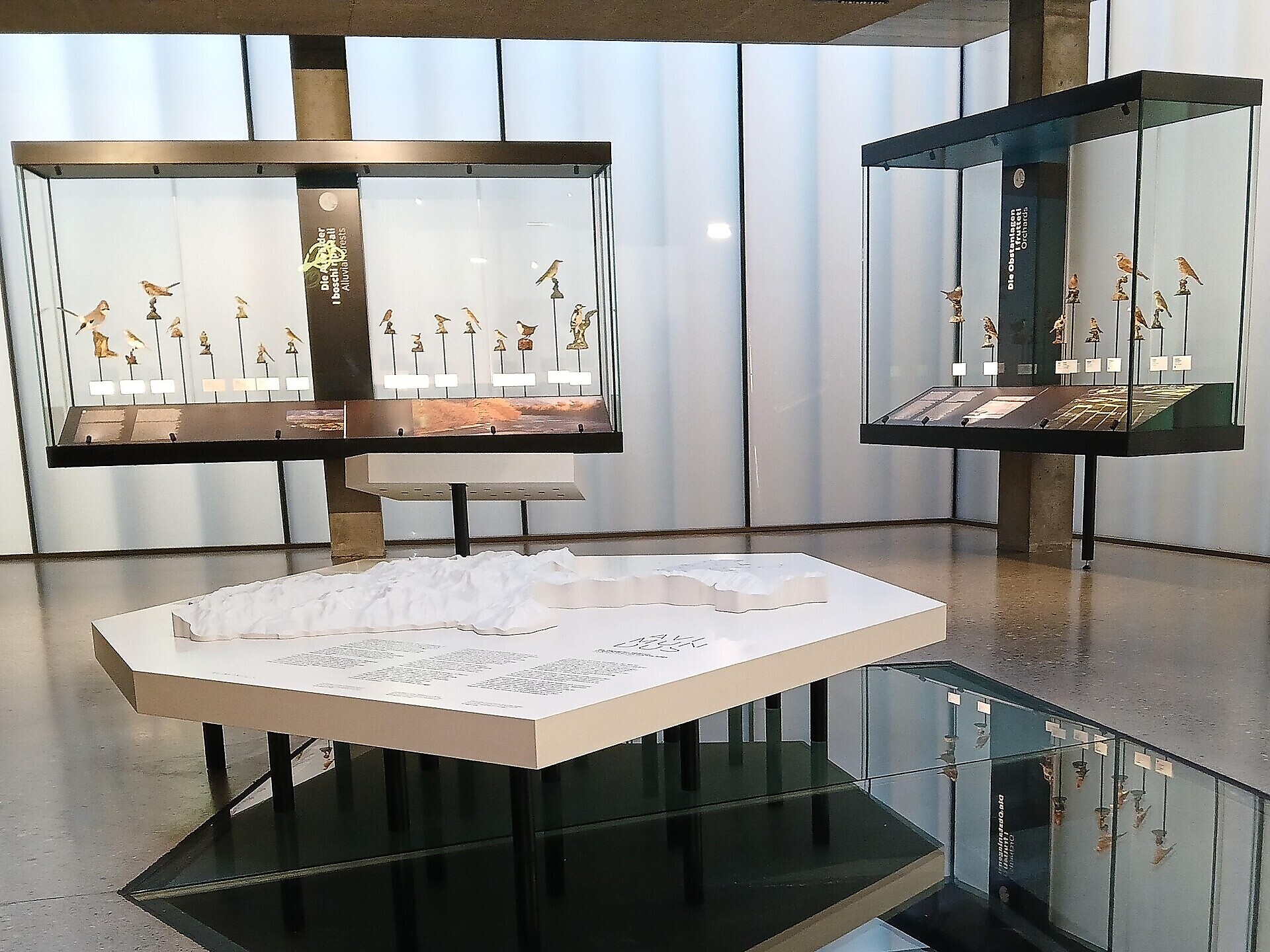 serata ornitologica – preparazione all’ esame di caccia 2026 - Val Venosta - #1 - suedtirol.info