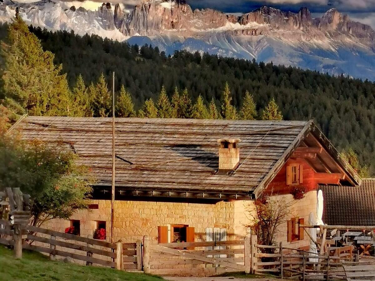 Festival on mountain hut Möltner Kaser - Bolzano/Bozen and environs - #3 - suedtirol.info