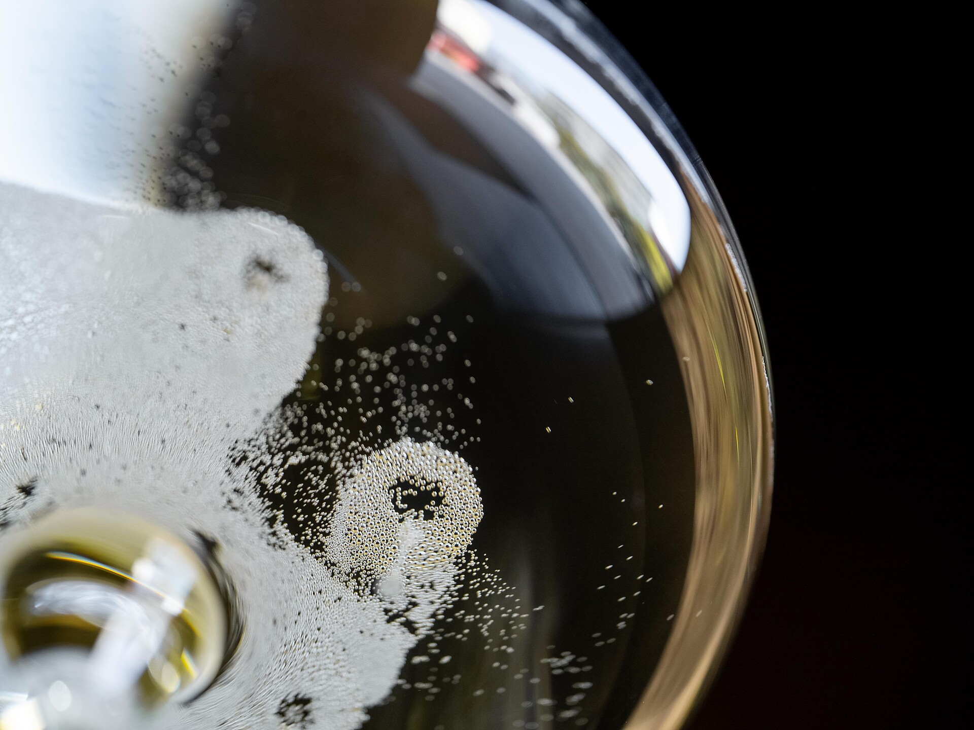 (W)Einsteigerkurs in der Kellerei Meran in Marling - Meran und Umgebung - #3 - suedtirol.info