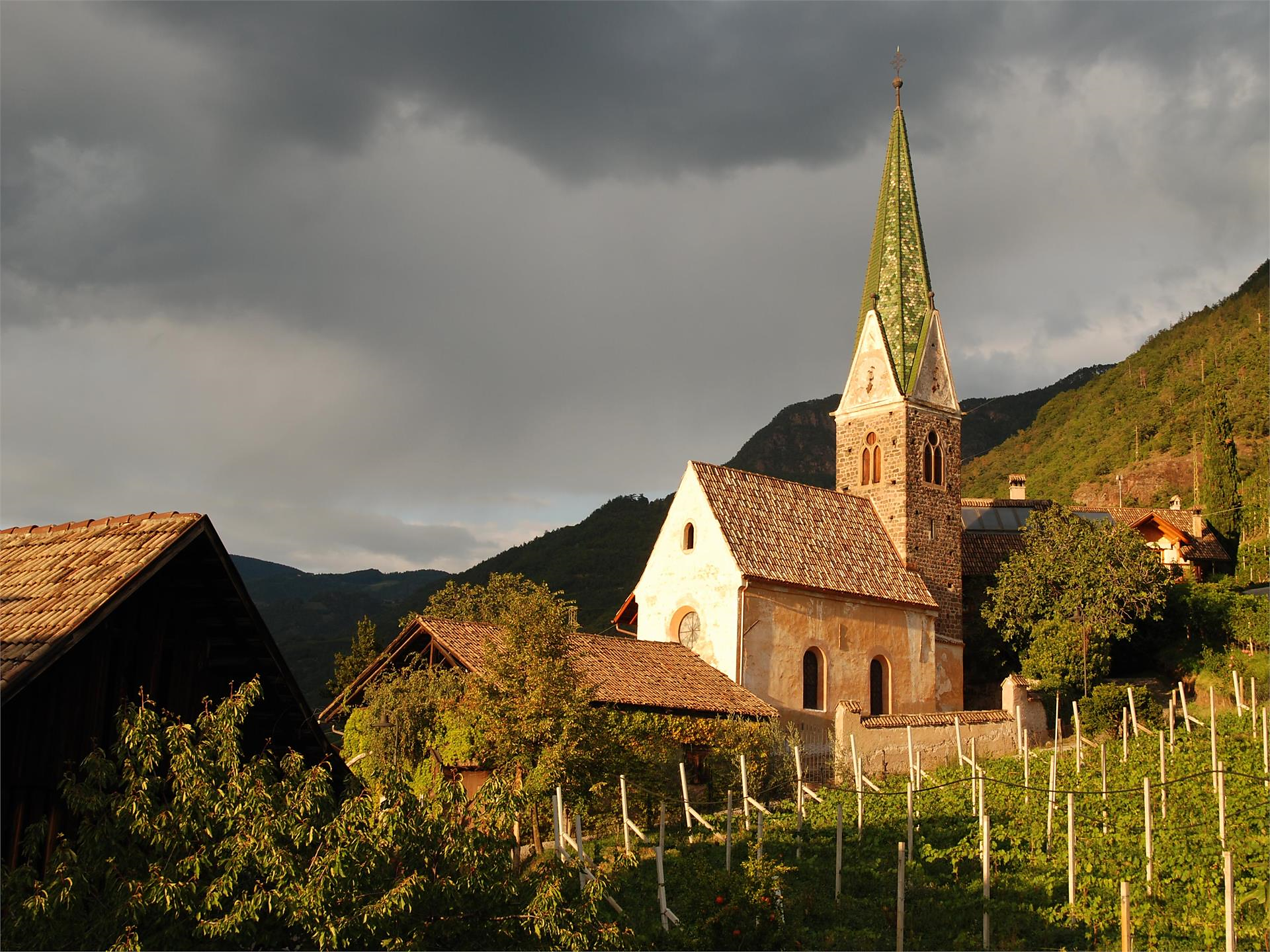Sustainable winegrowing at the Messnerhof Winery Bolzano/Bozen 1 suedtirol.info