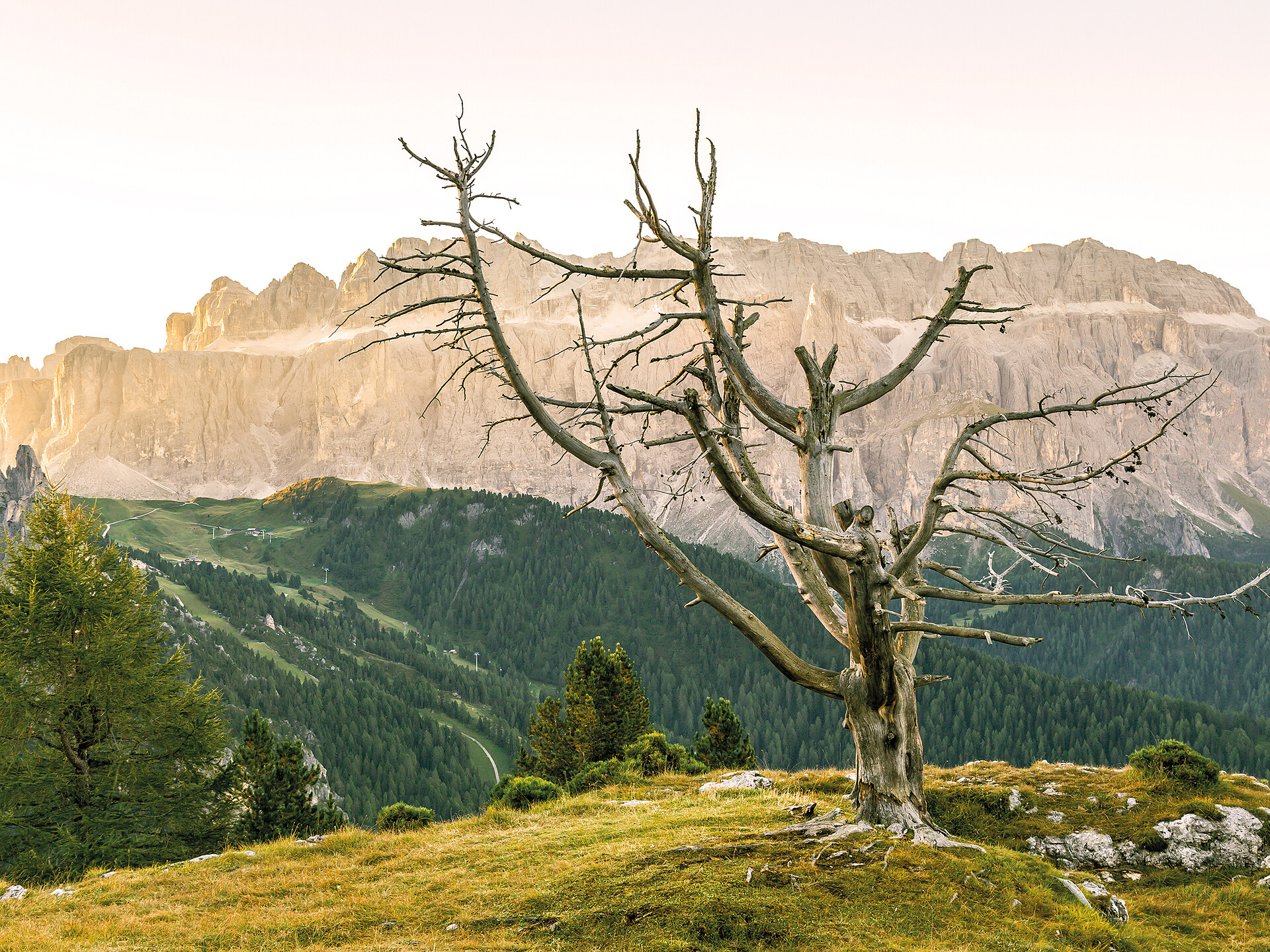 Across the Forcella Piza to the Rock Arch Stevia in the Park Puez-Odle - Dolomites Region Val Gardena - #3 - suedtirol.info