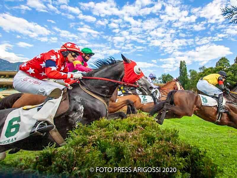 Midsummer meetting at the Merano Racecourse Meran/Merano 2 suedtirol.info