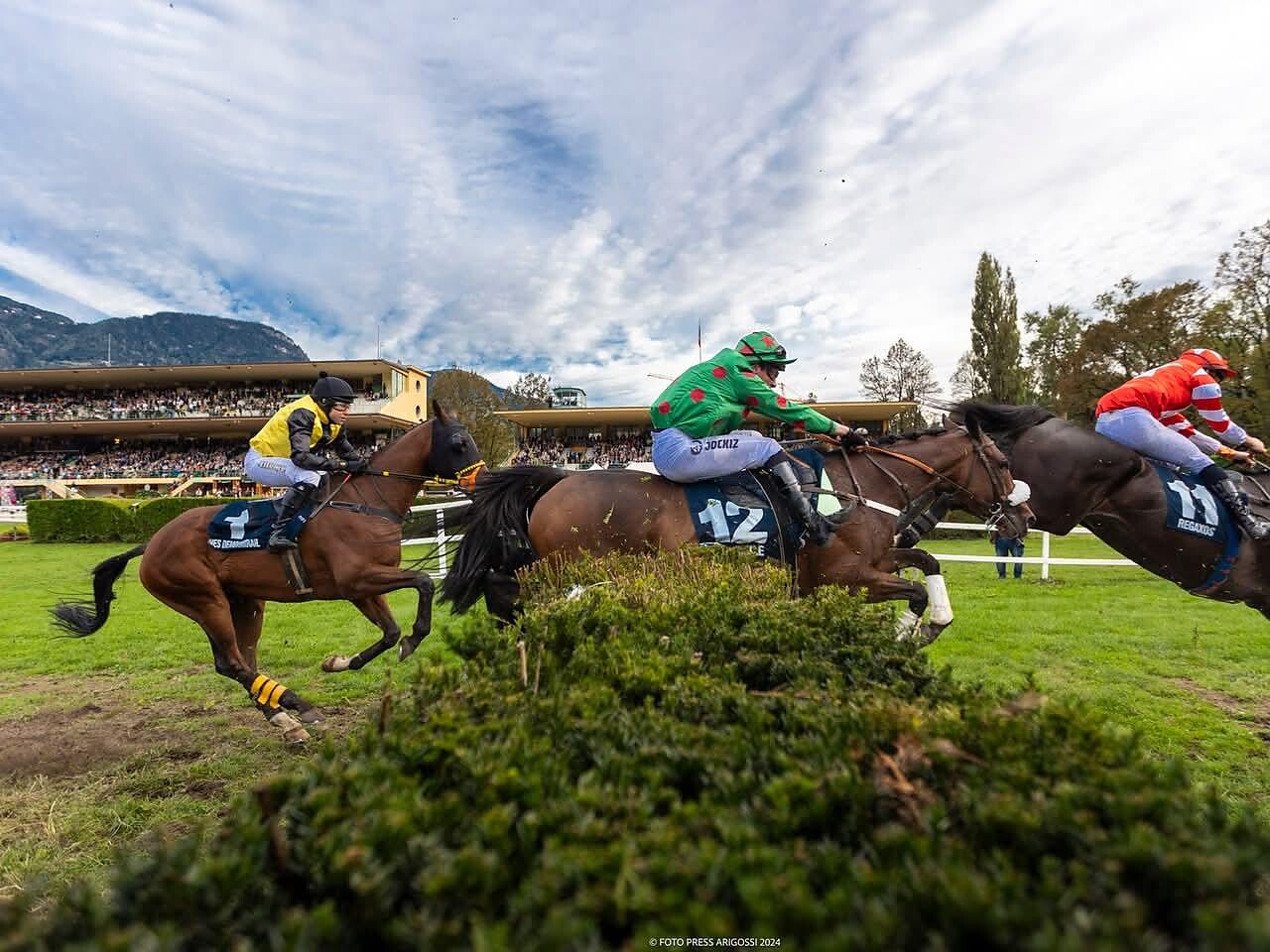 Midsummer meetting at the Merano Racecourse Meran/Merano 3 suedtirol.info