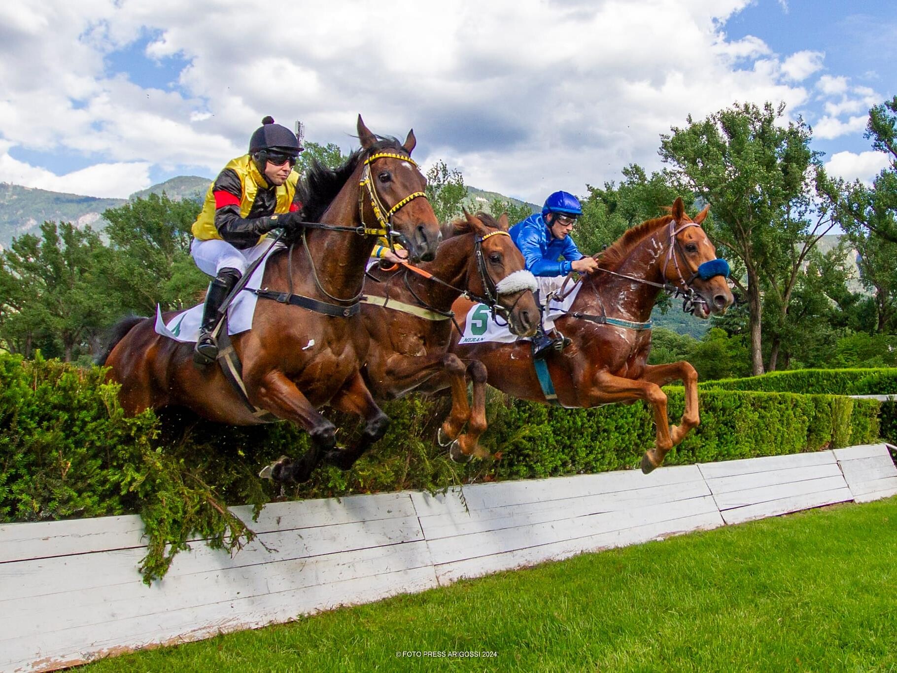 Midsummer meetting at the Merano Racecourse Meran/Merano 1 suedtirol.info