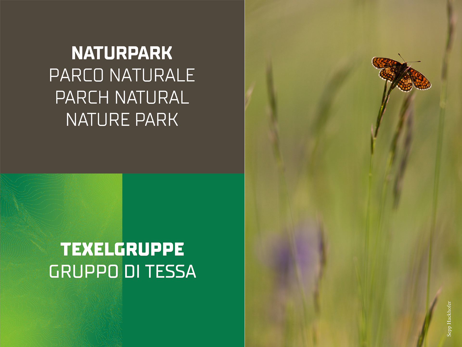 „Bye Bye Butterfly“ - mostra temporanea - Merano e dintorni - #2 - suedtirol.info