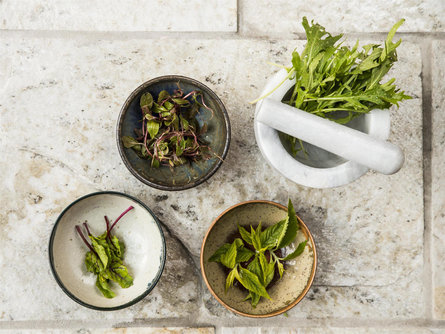 Wild herbs in the kitchen - Lana in bloom 2024 Lana 2 suedtirol.info