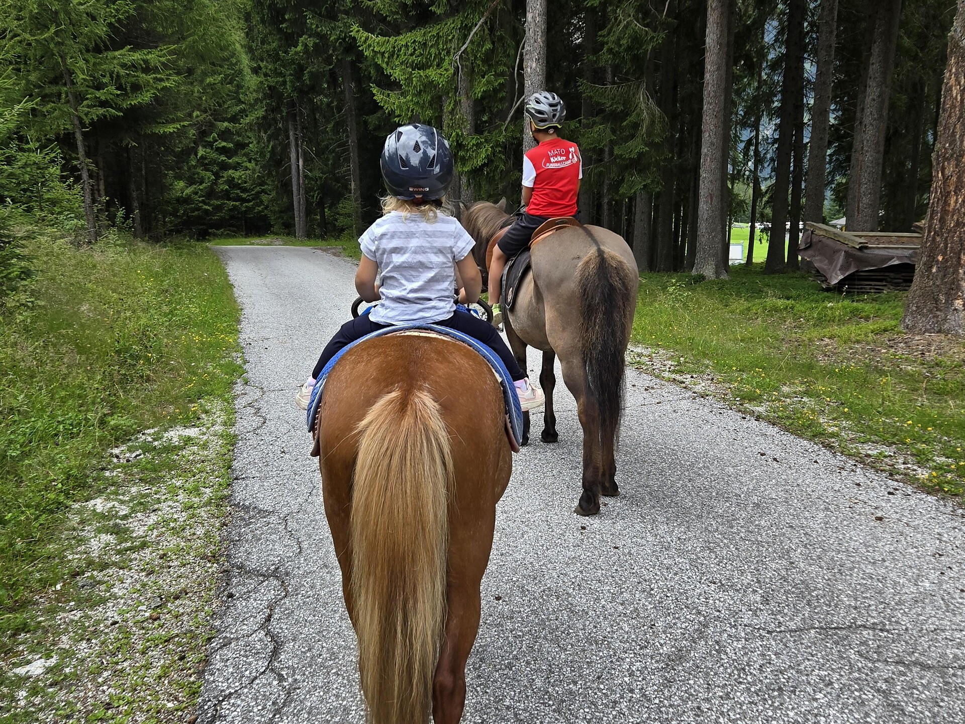 Ponyreiten am Blosegghof - Sterzing und Umgebung - #1 - suedtirol.info