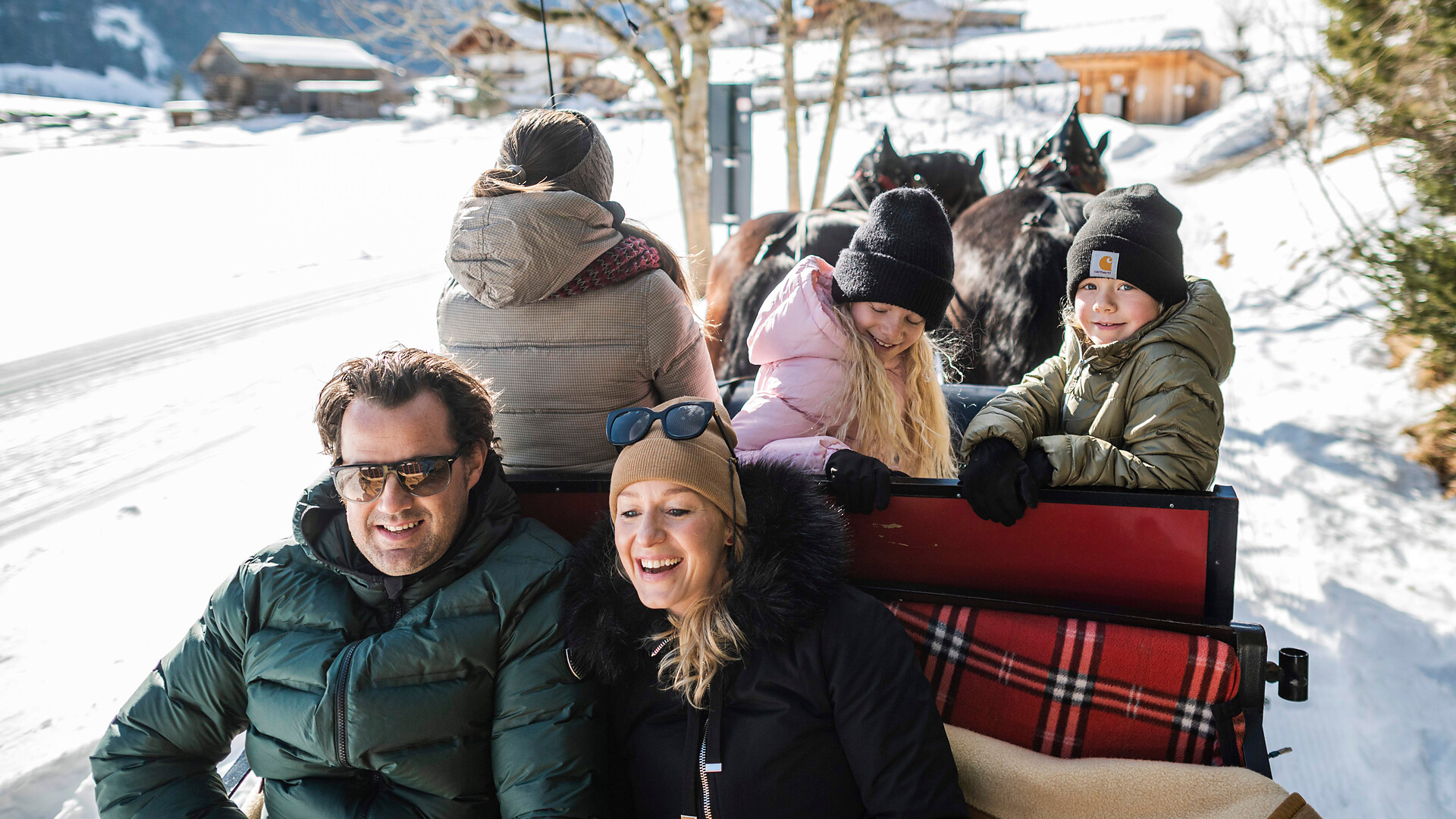 Horse-drawn sleigh ride in Gsiesertal Valley -  - #2 - suedtirol.info