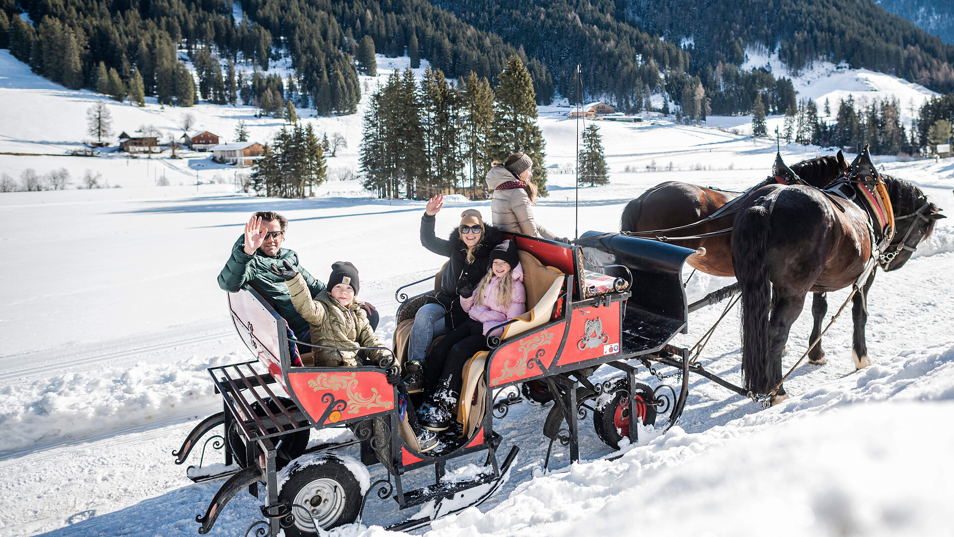 Horse-drawn sleigh ride in Gsiesertal Valley -  - #1 - suedtirol.info