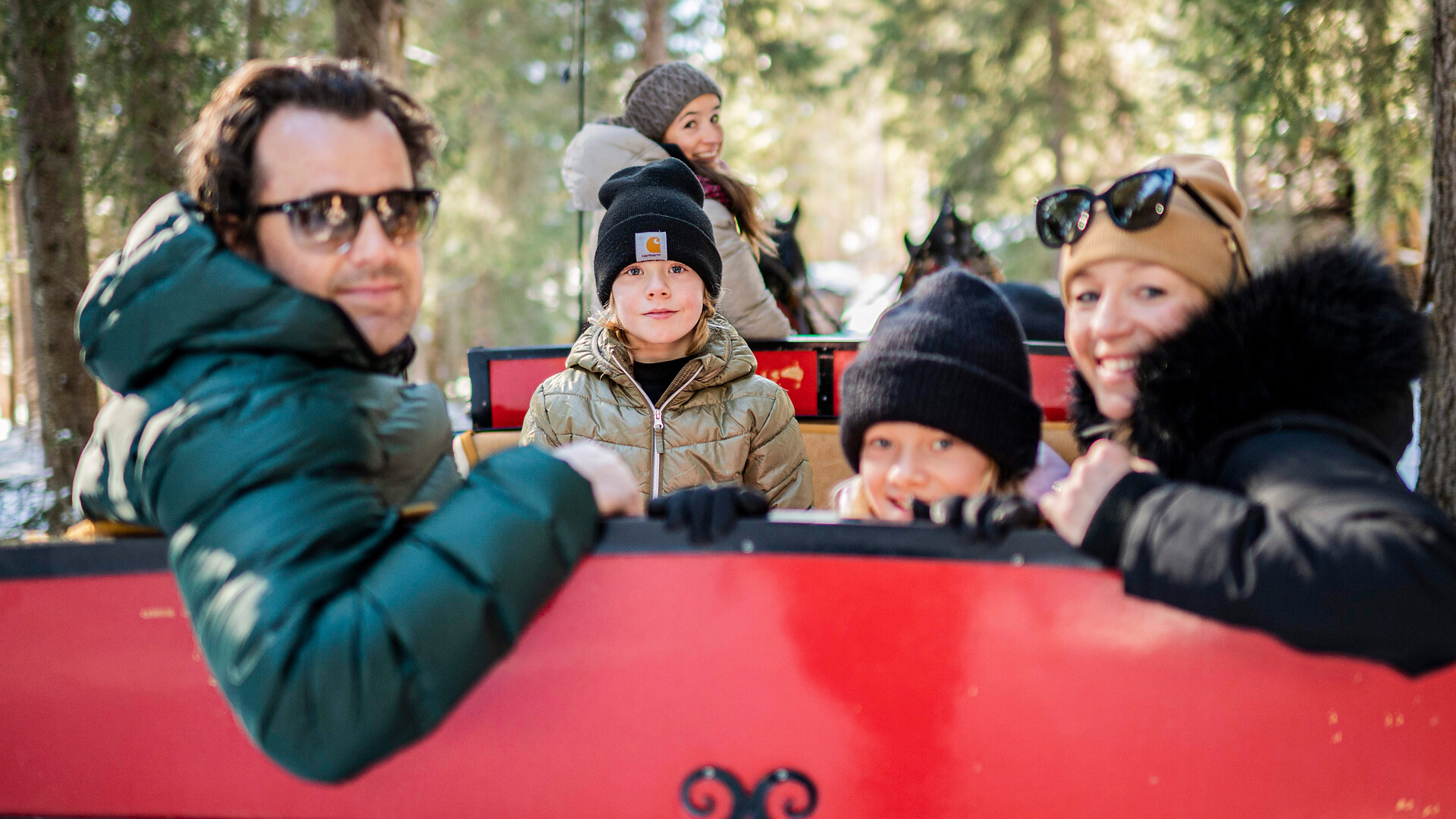 Horse-drawn sleigh ride in Gsiesertal Valley -  - #3 - suedtirol.info