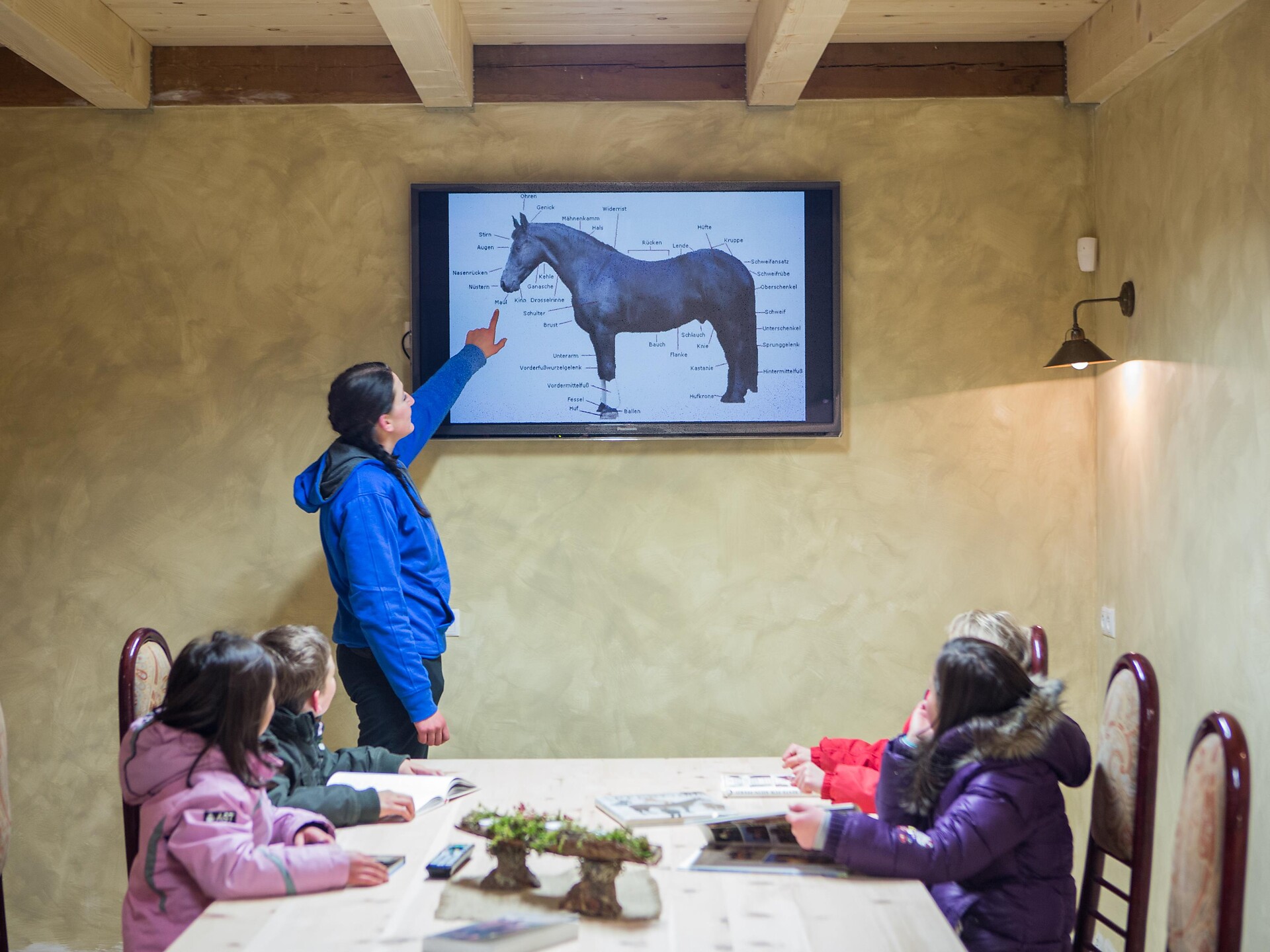 Pferdeerlebnis für Kinder - Dolomitenregion Eggental - #2 - suedtirol.info