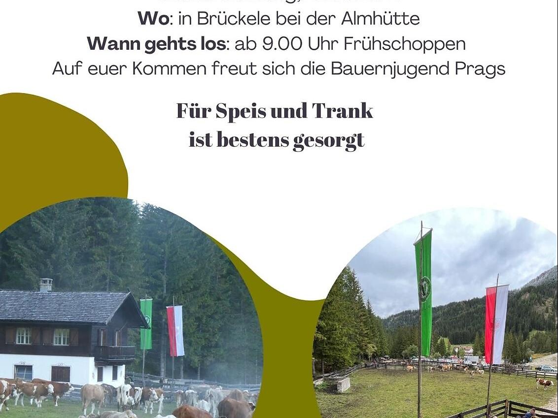 Rientro dell' alpeggio a Braies Braies 2 suedtirol.info