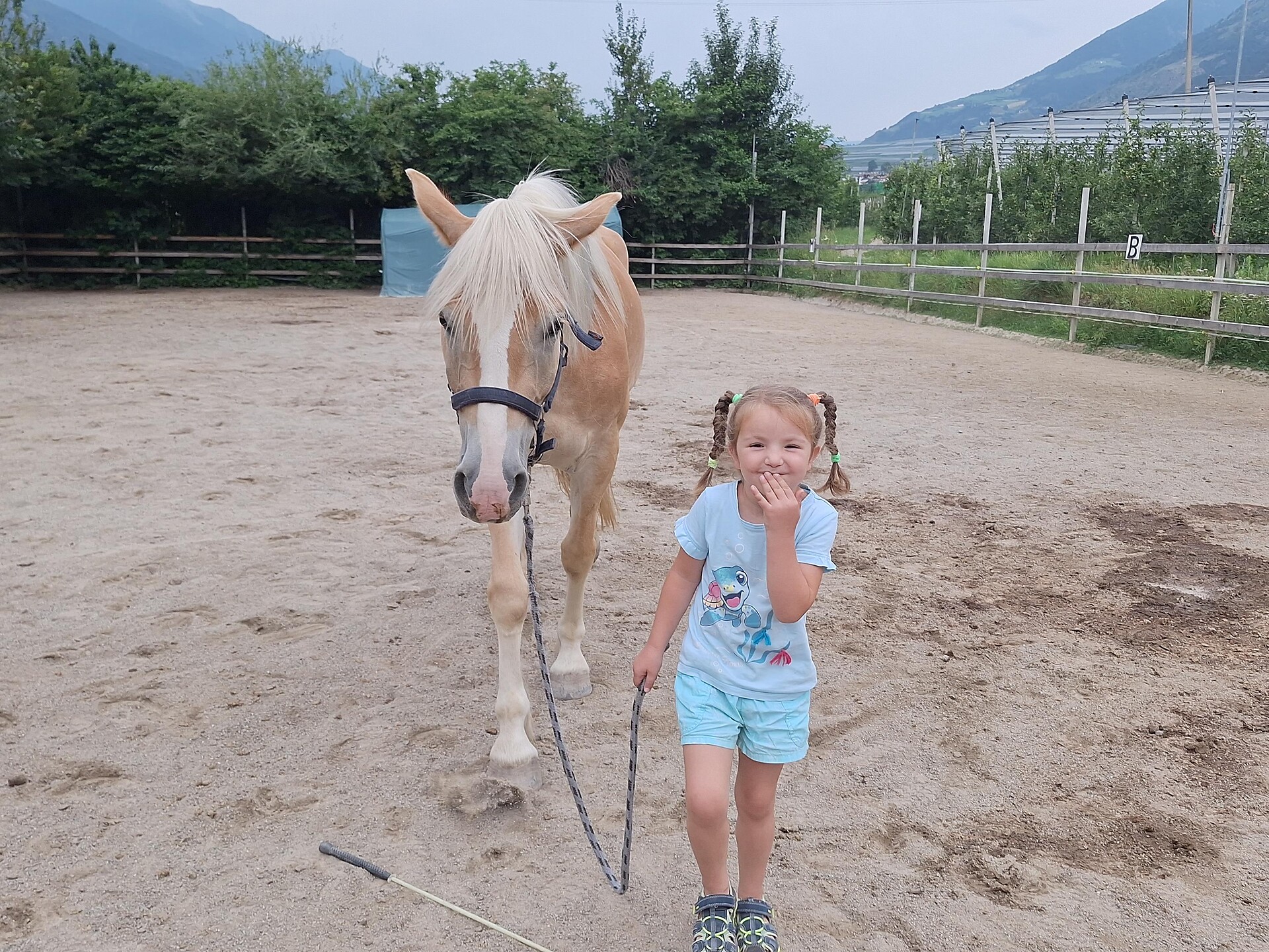 Coccole con i pony al maneggio Vill - Val Venosta - #2 - suedtirol.info