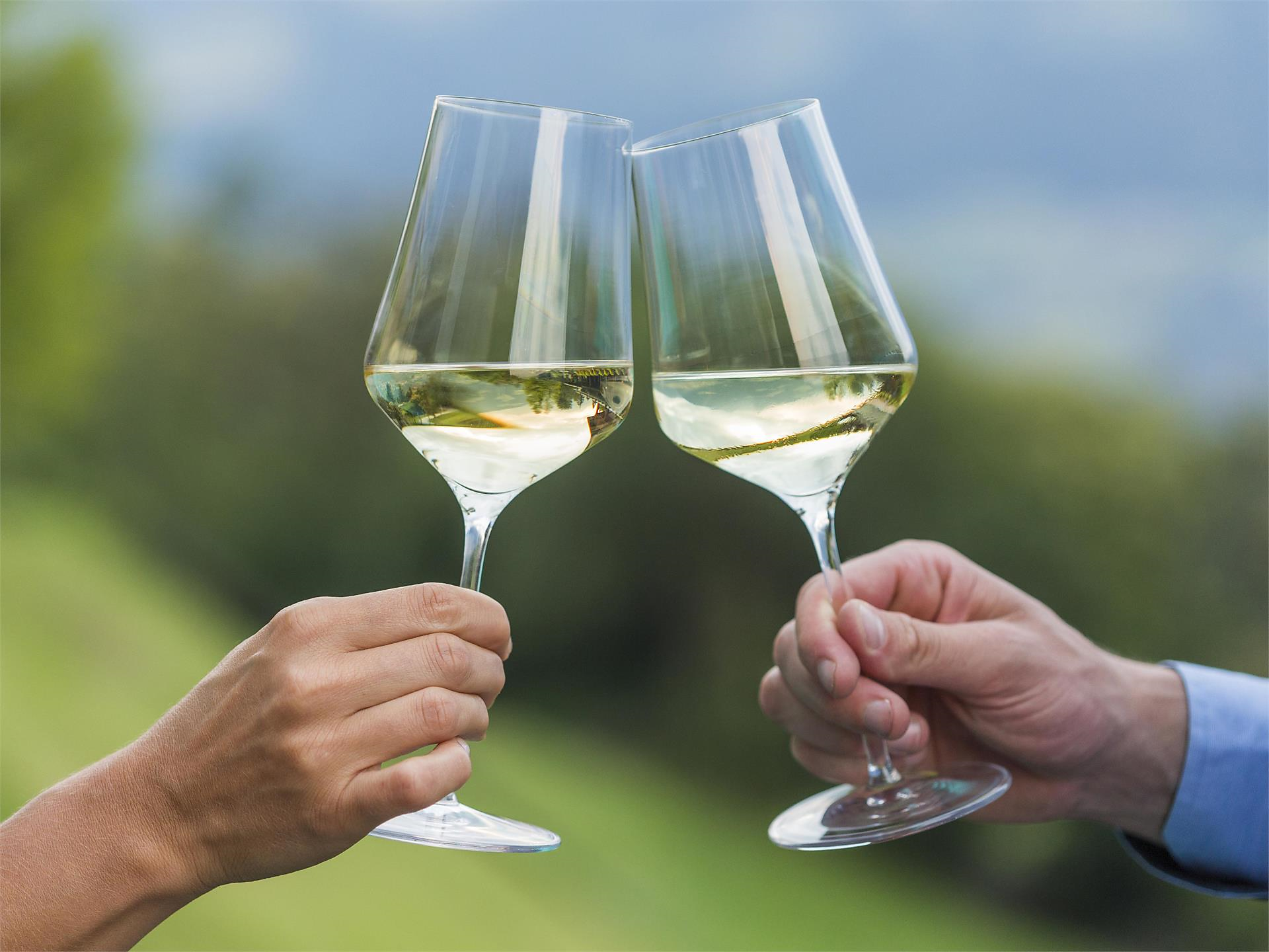 Popphoffesta - Meran und Umgebung - #1 - suedtirol.info