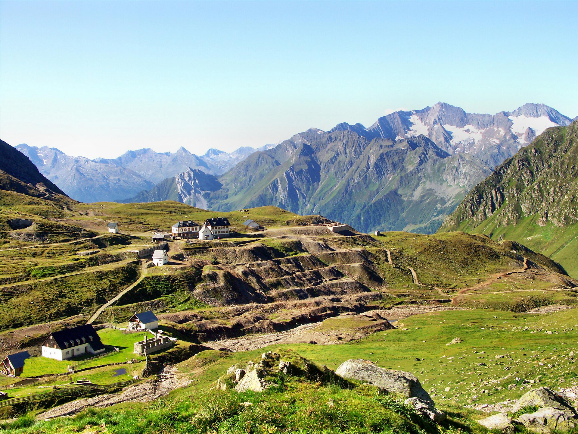 Leggere le piante - piante metallofite del Monteneve - Merano e dintorni - #2 - suedtirol.info