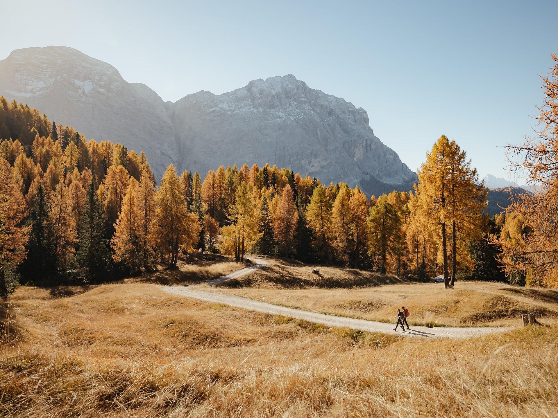 Panorama-Wanderung mit Geologie-Experten – Munts dl Altonn - Dolomitenregion Alta Badia - #1 - suedtirol.info