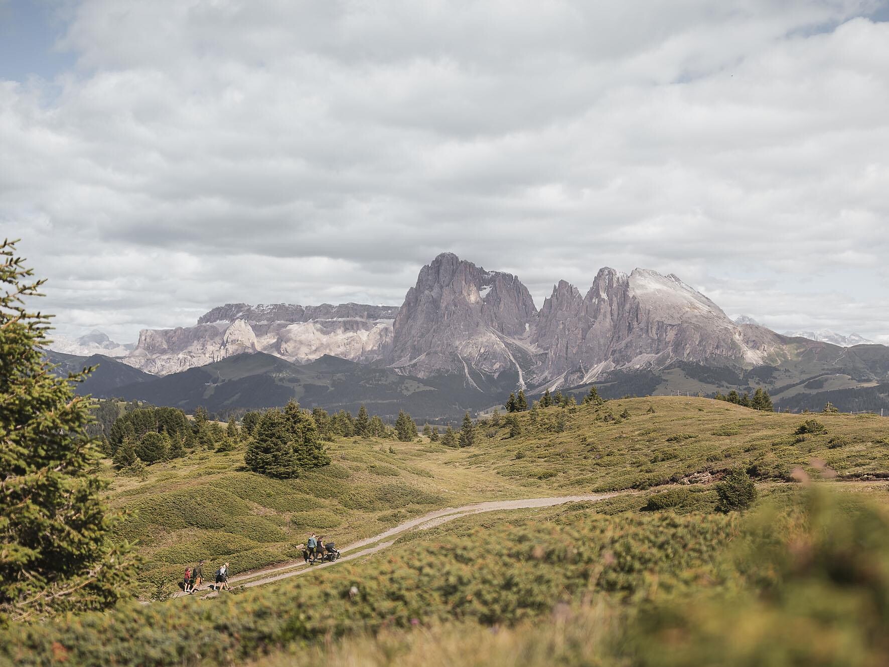 Sentiero circolare del Monte Bullaccia - Regione dolomitica Alpe di Siusi - #1 - suedtirol.info
