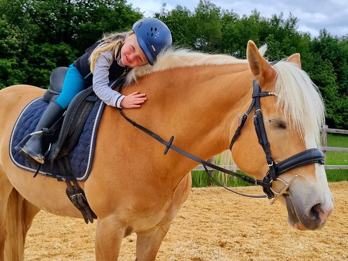 Horse experience time -  - #2 - suedtirol.info