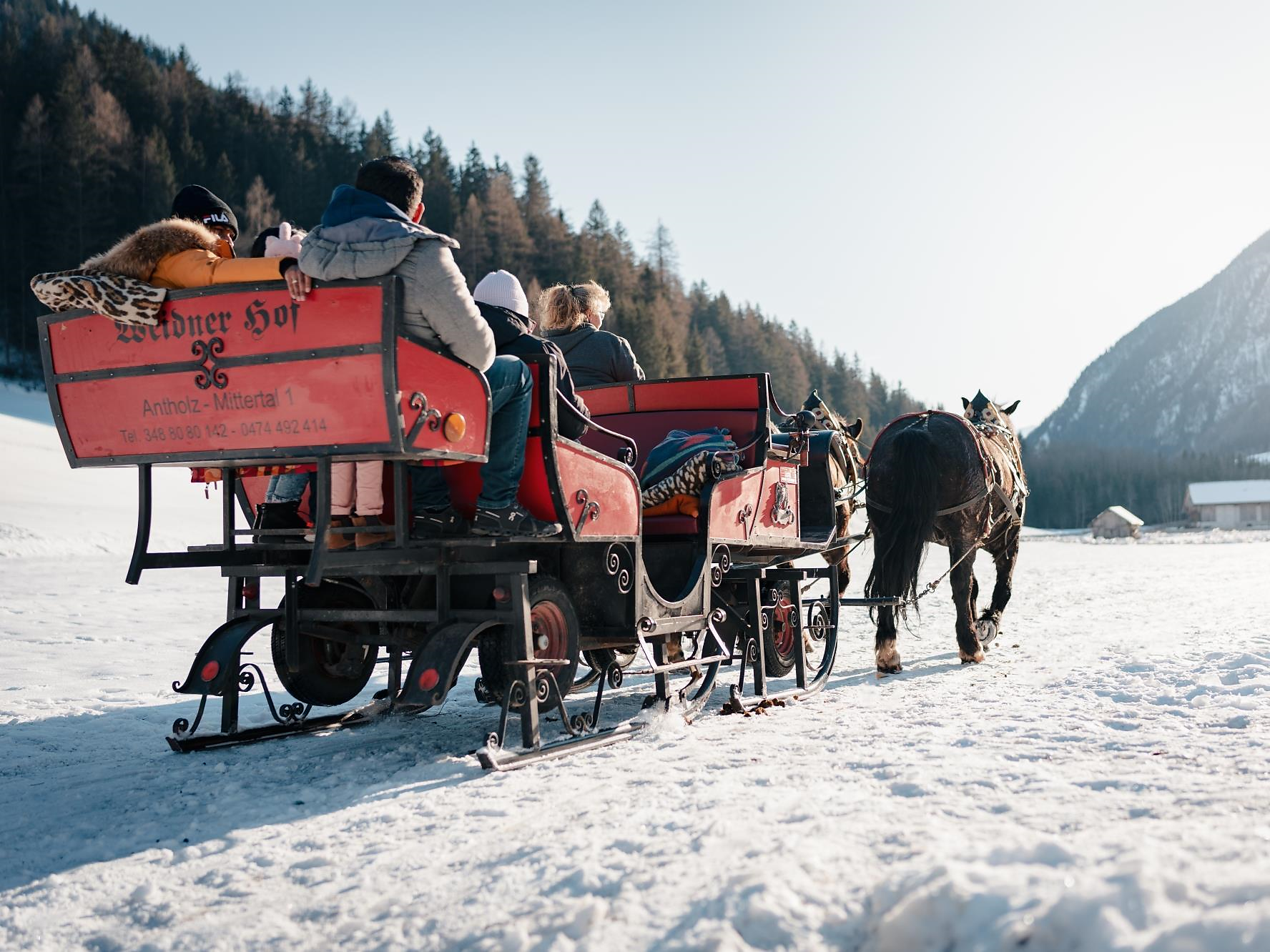 Pura magia invernale - gita in carrozza trainata da cavalli ad Anterselva - Regione dolomitica Plan de Corones - #1 - suedtirol.info