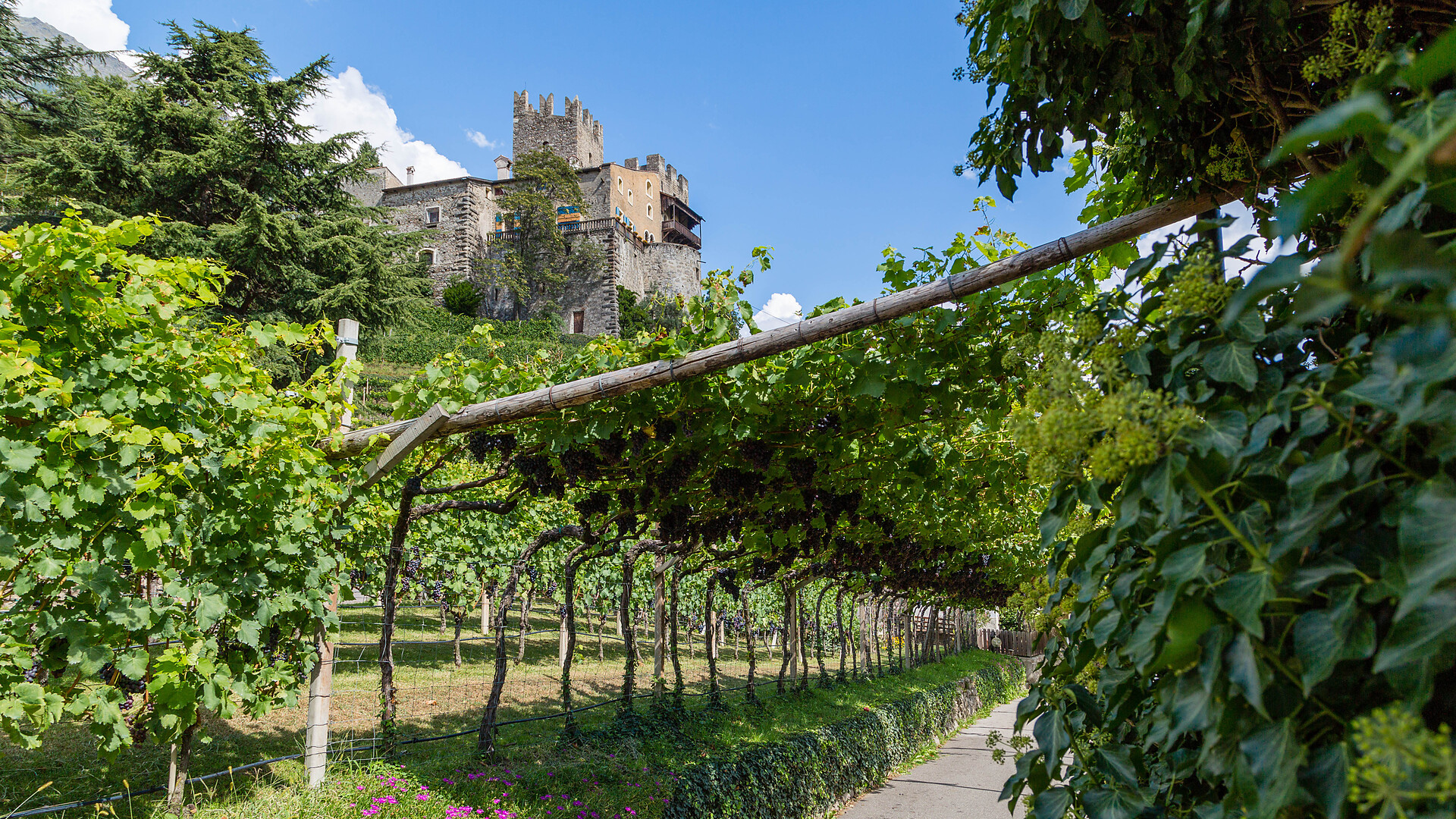 Passeggiata panoramica Naturno - Merano e dintorni - #1 - suedtirol.info