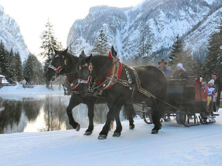 Slitta trainata da cavalli al lago di Dobbiaco Dobbiaco 1 suedtirol.info