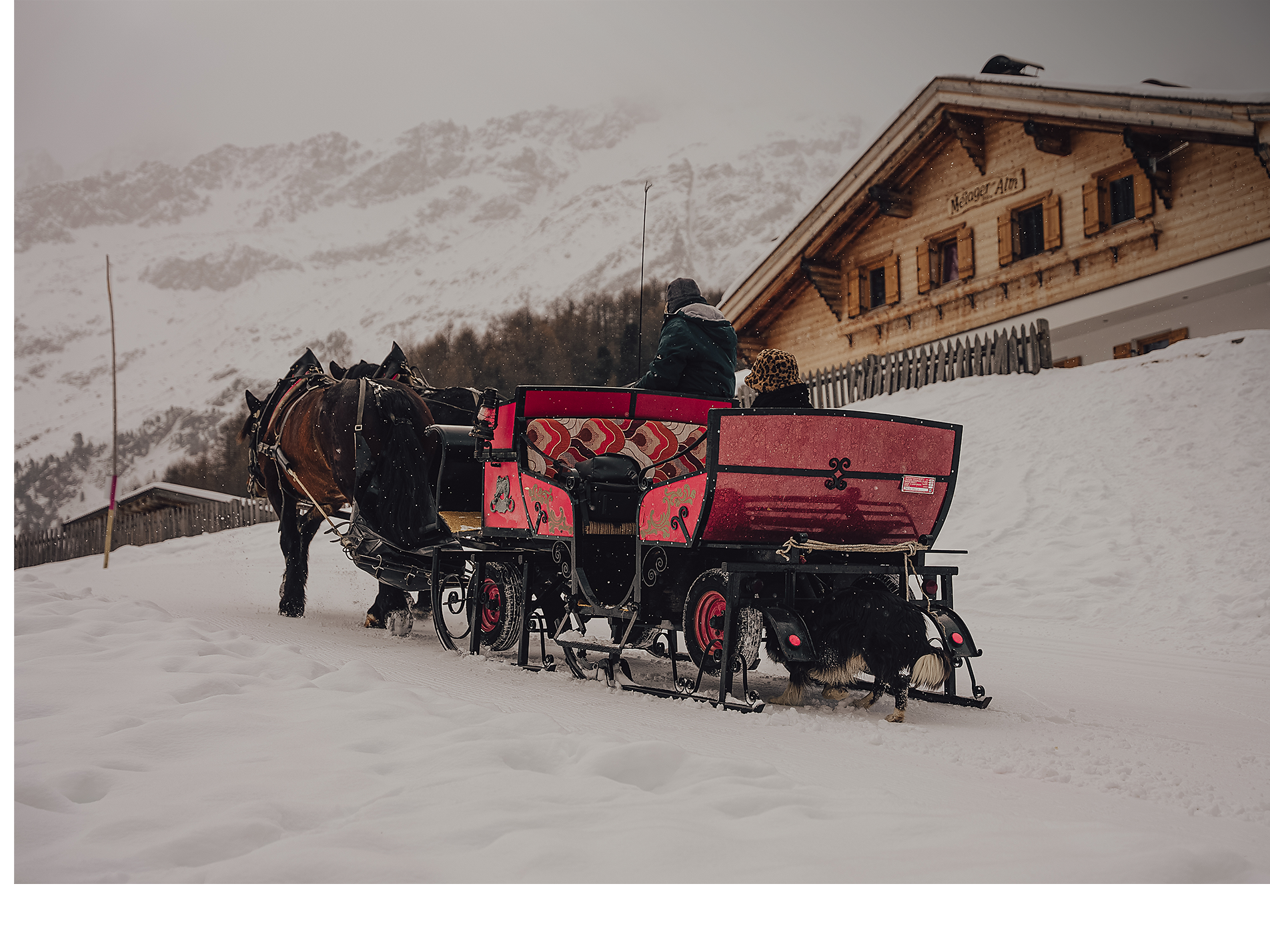Horse-drawn sleigh ride in Langtaufers - Vinschgau/Val Venosta - #1 - suedtirol.info