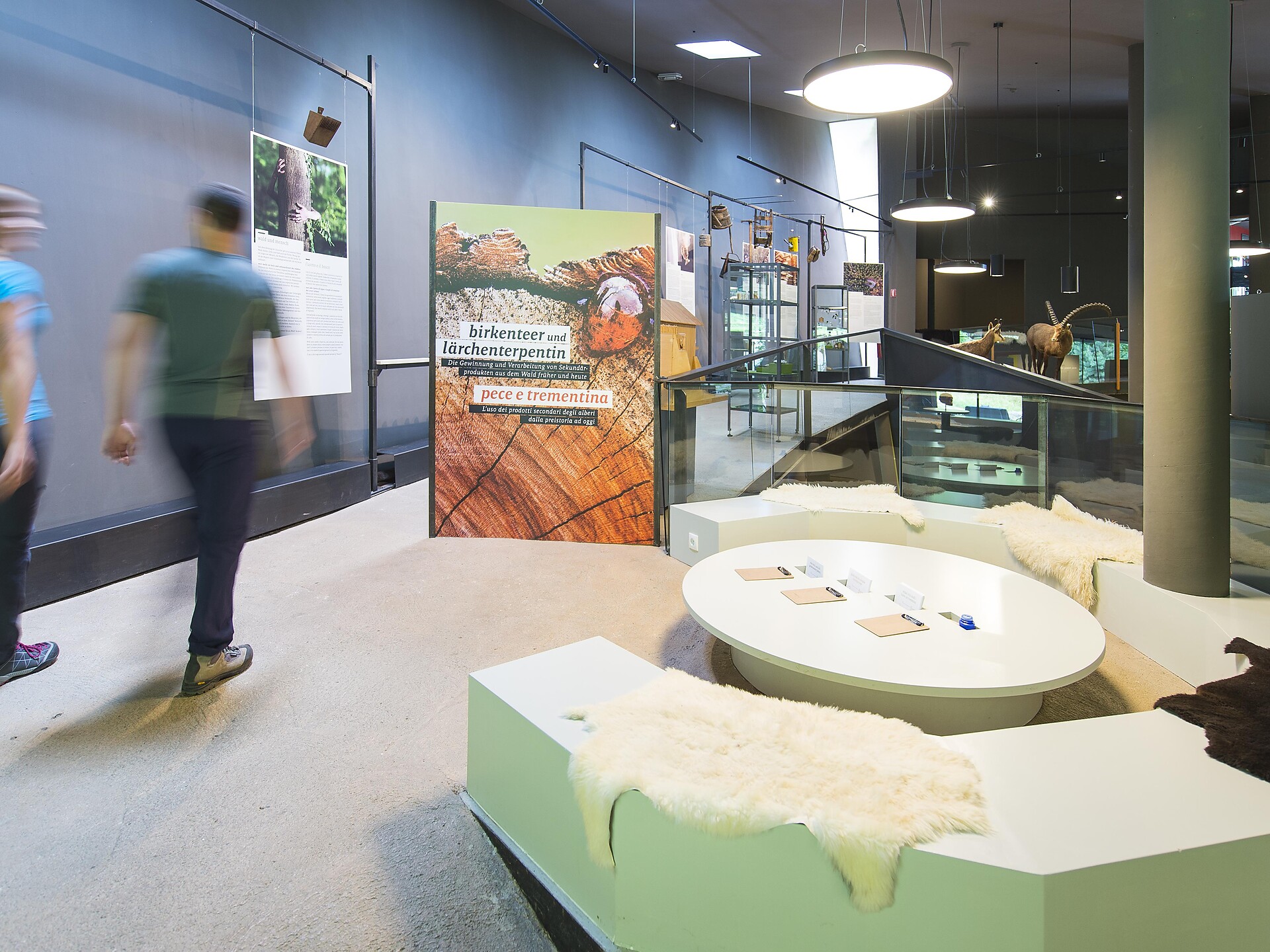 Pilze - Sonderausstellung im archeoParc Schnalstal - Vinschgau - #1 - suedtirol.info