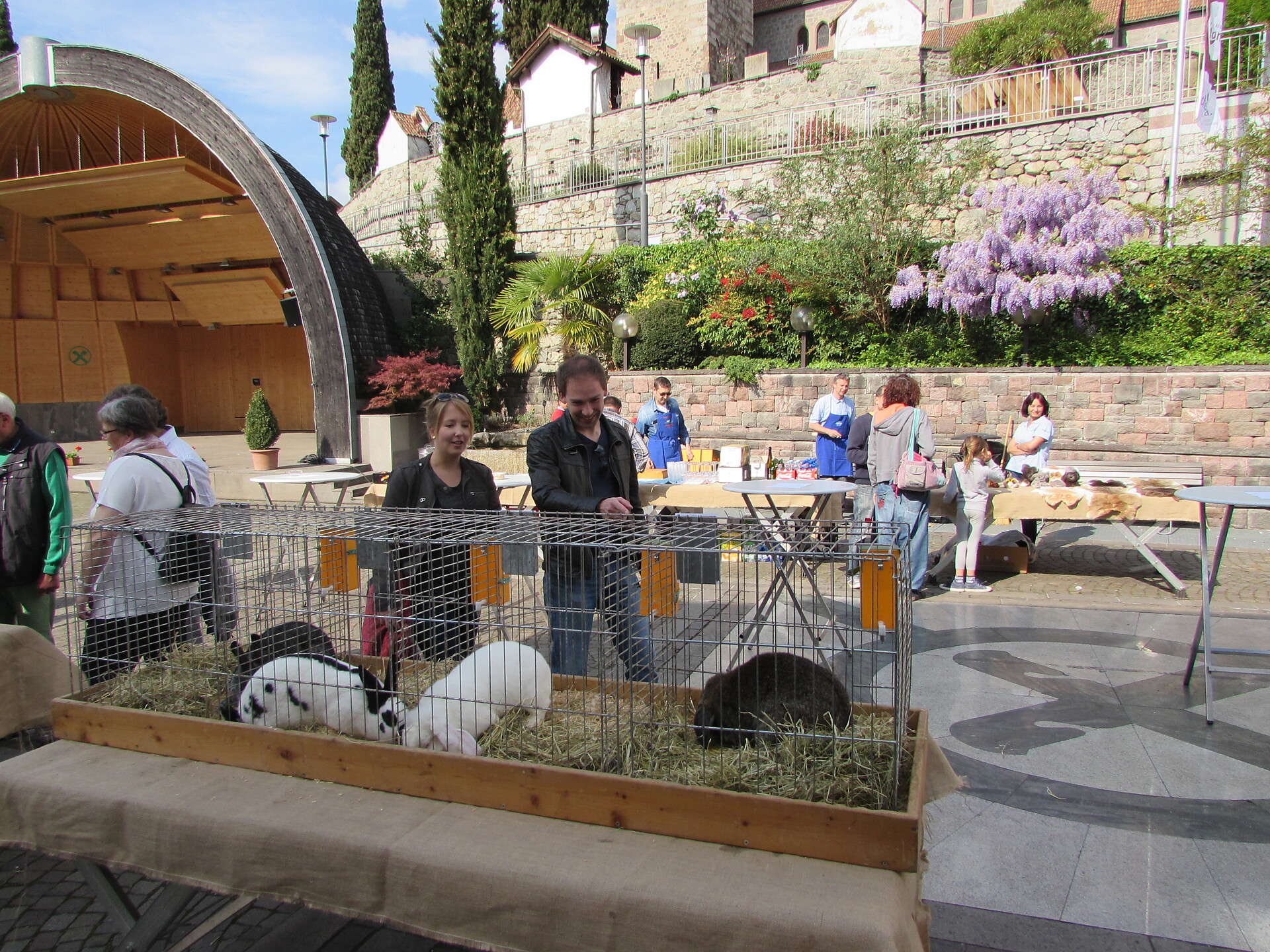 Rabbit exhibition at the Raiffeisen square Schenna - Meran/Merano and environs - #2 - suedtirol.info